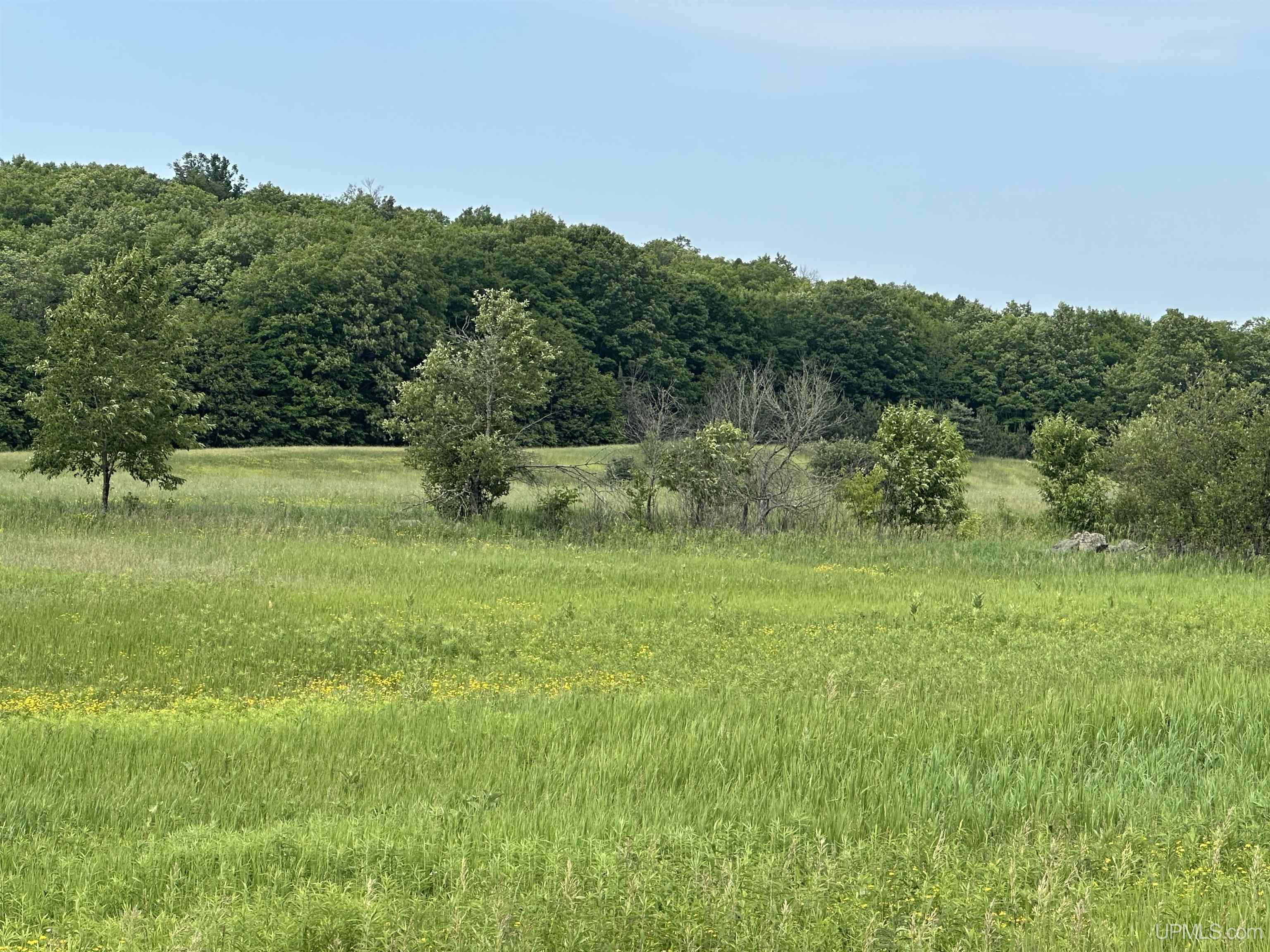 N6125 Charlebois Road Property Photo 1