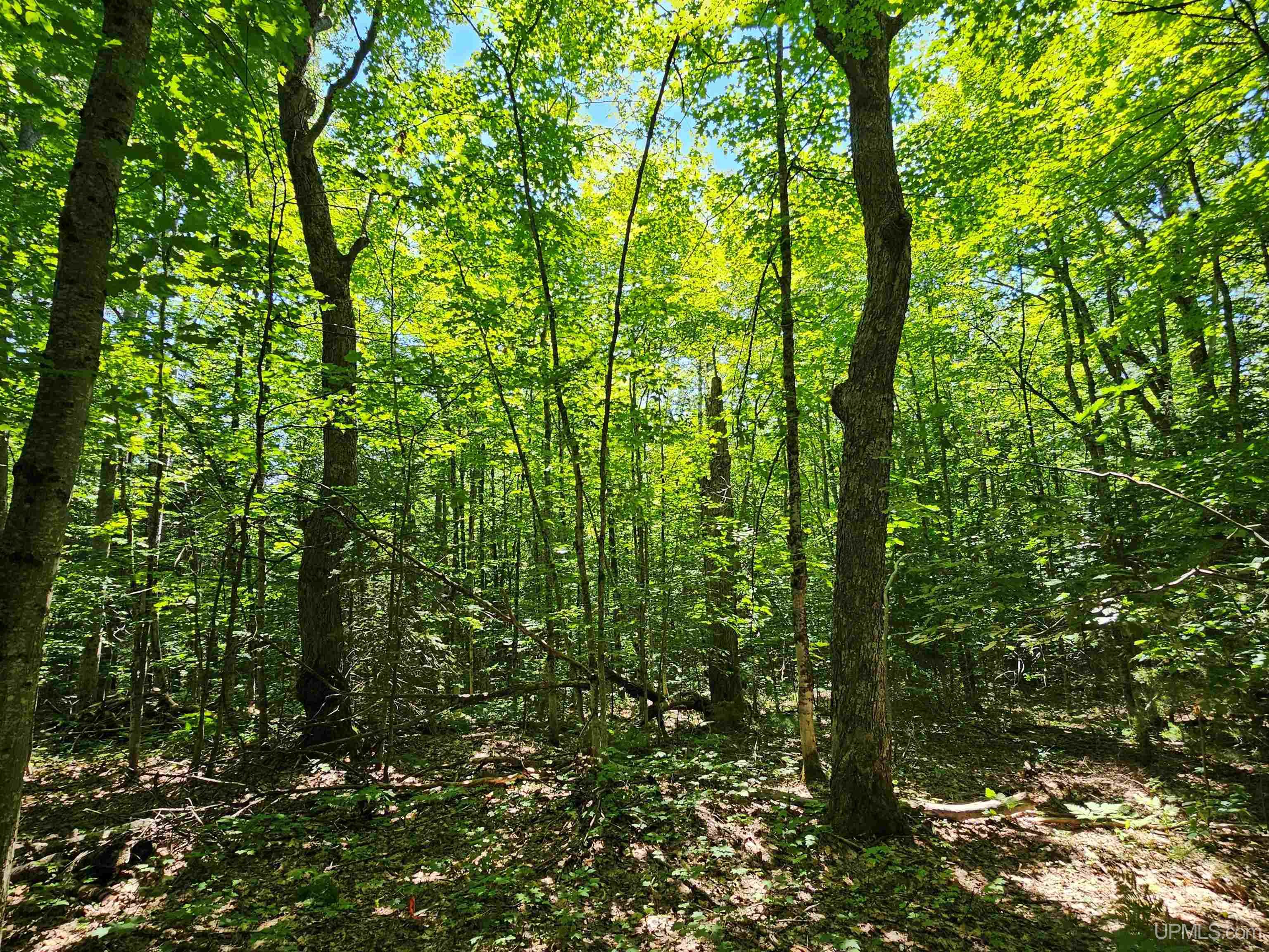 Tbd Parcel M14 Applewood Drive Property Photo 2