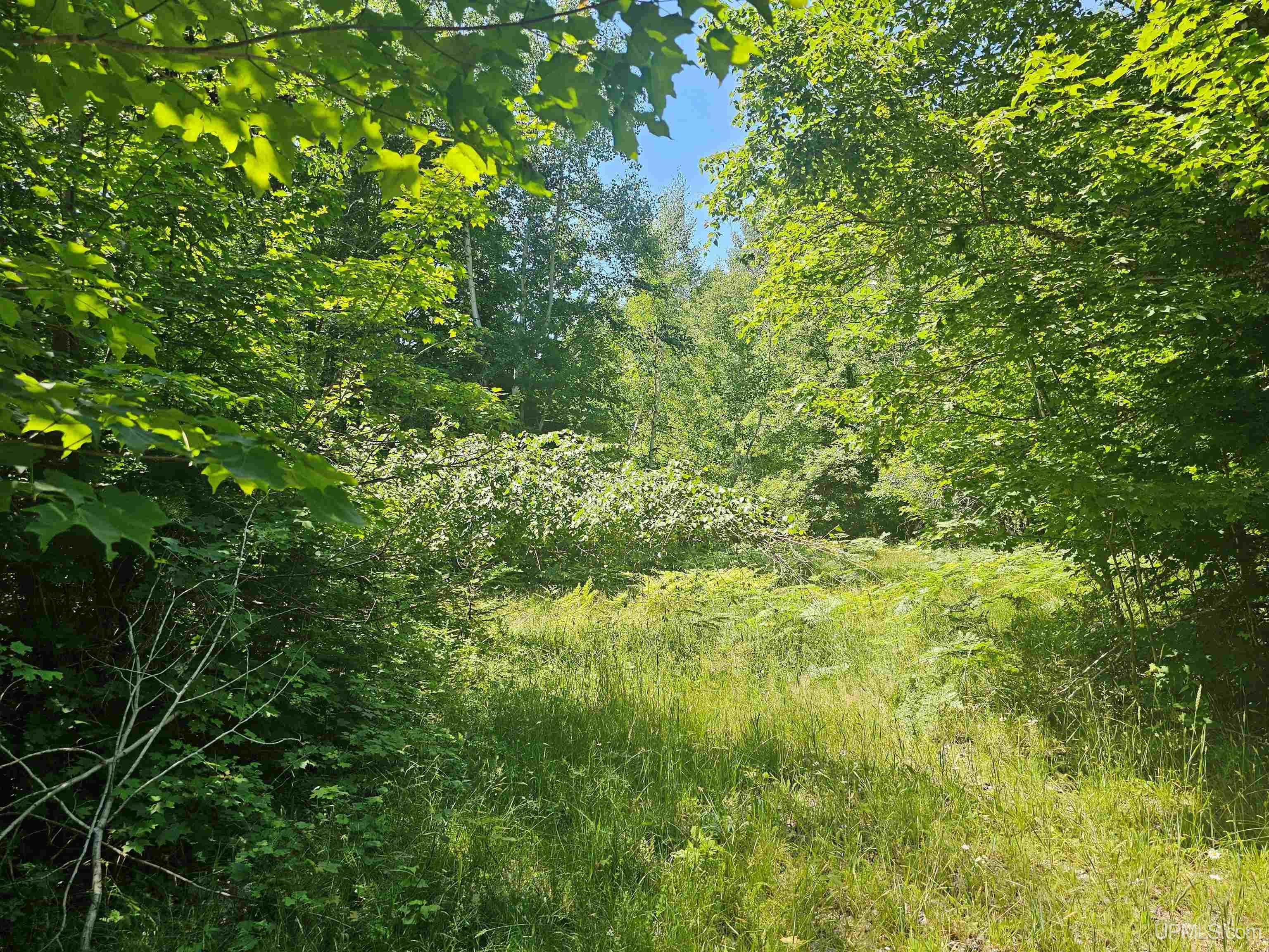 Tbd Parcel M14 Applewood Drive Property Photo 4