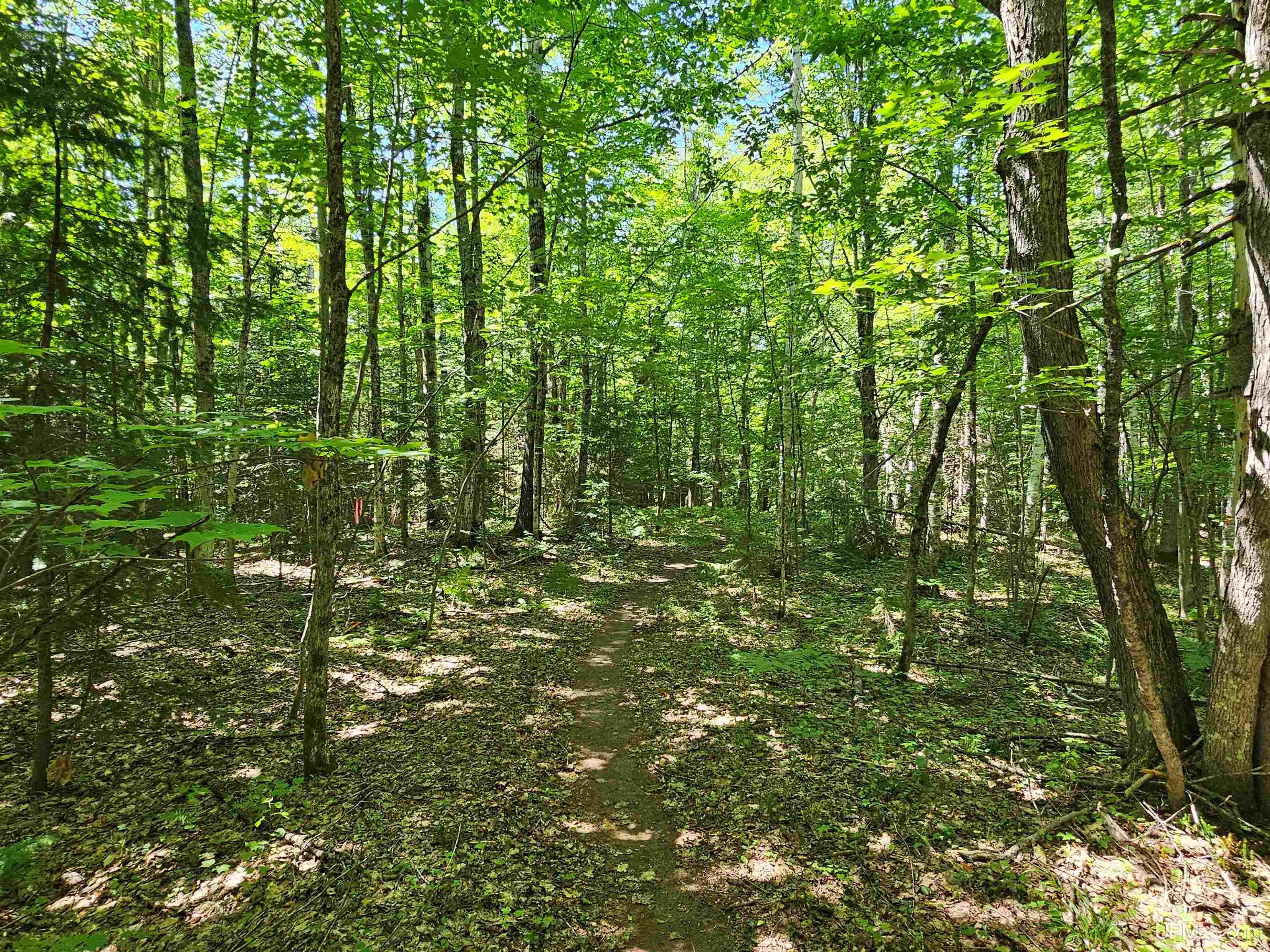 Tbd Parcel M14 Applewood Drive Property Photo 7