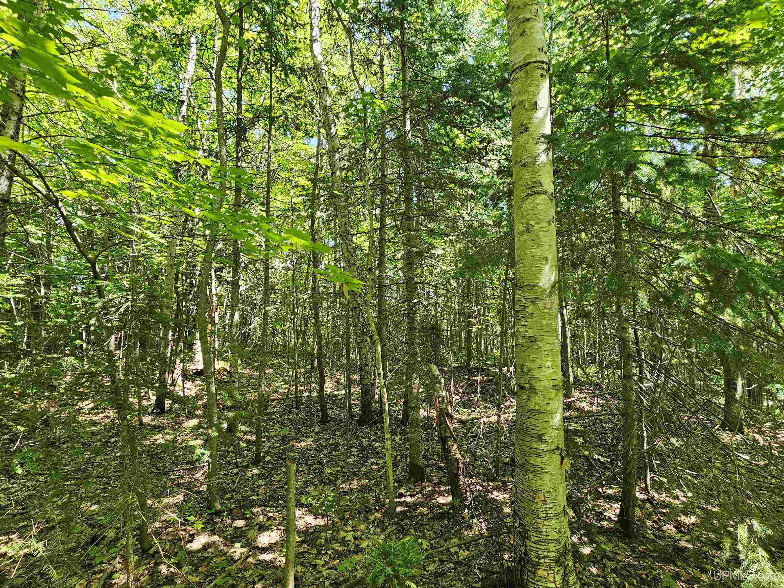 Tbd Parcel M14 Applewood Drive Property Photo 10