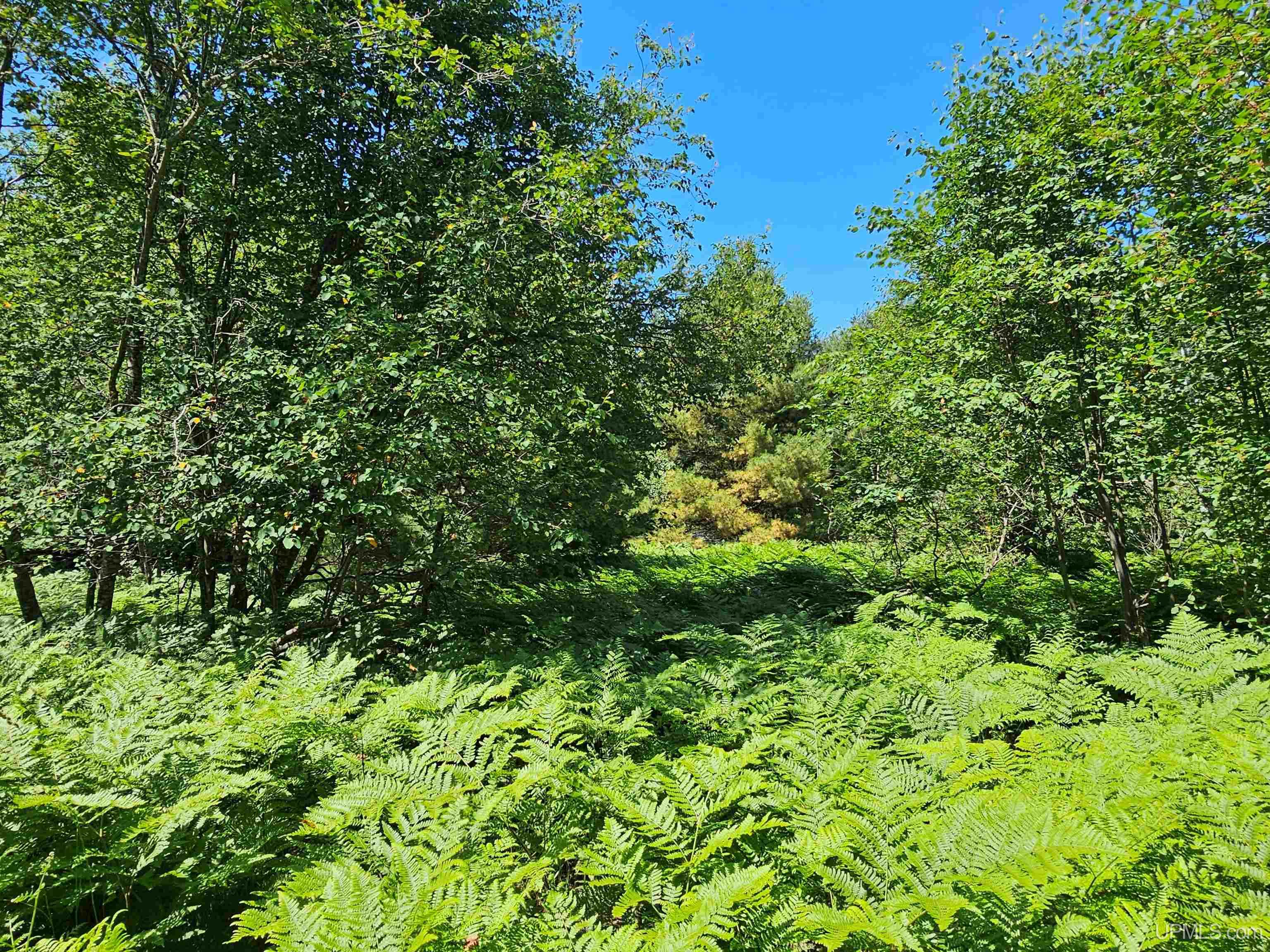 TBD Parcel M16 Applewood Drive Property Photo 1