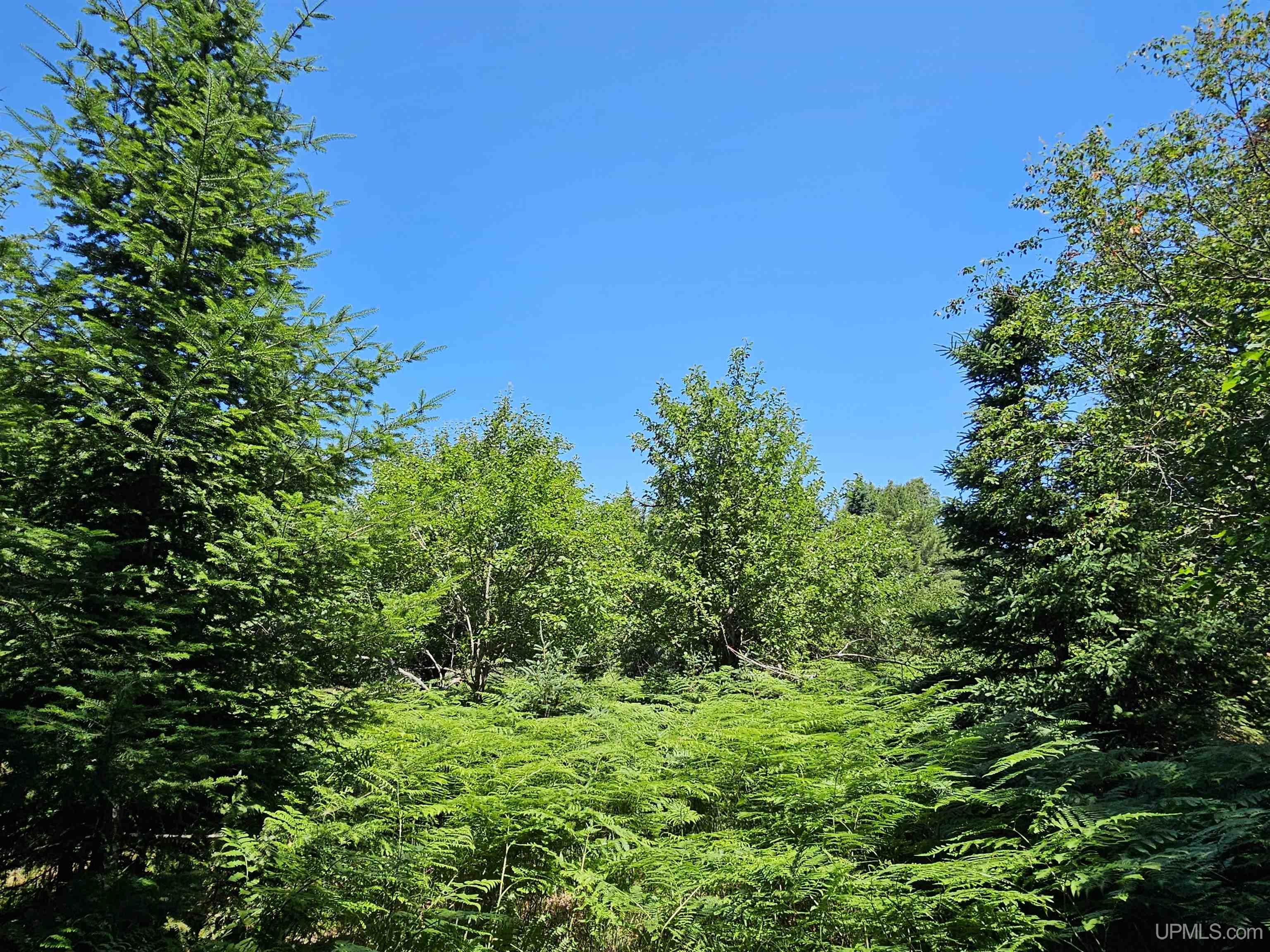 TBD Parcel M22 River Trails Road Property Photo 1