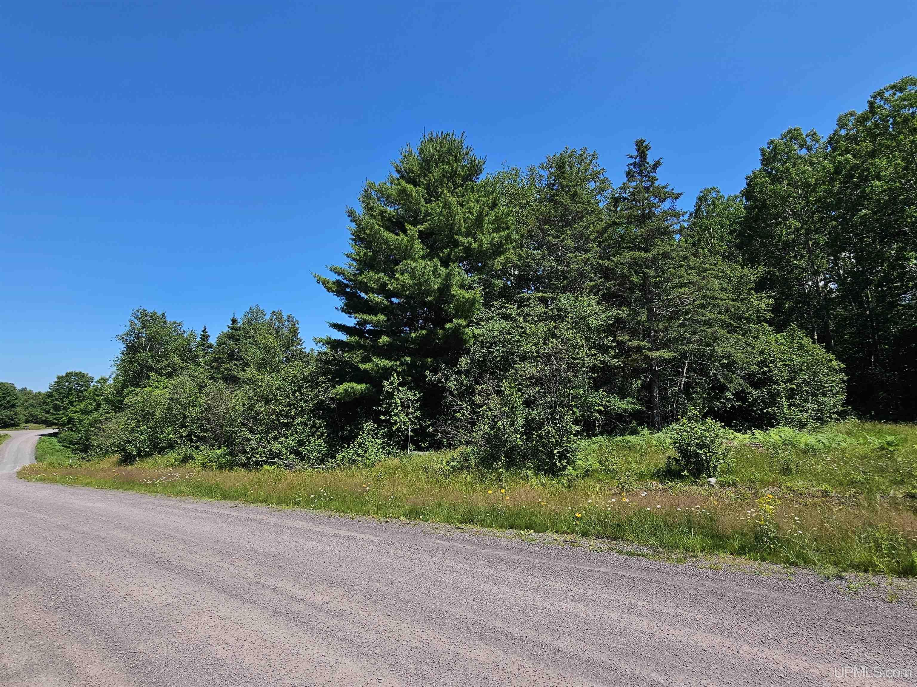 Tbd Parcel M24 River Trails Road Property Photo 2
