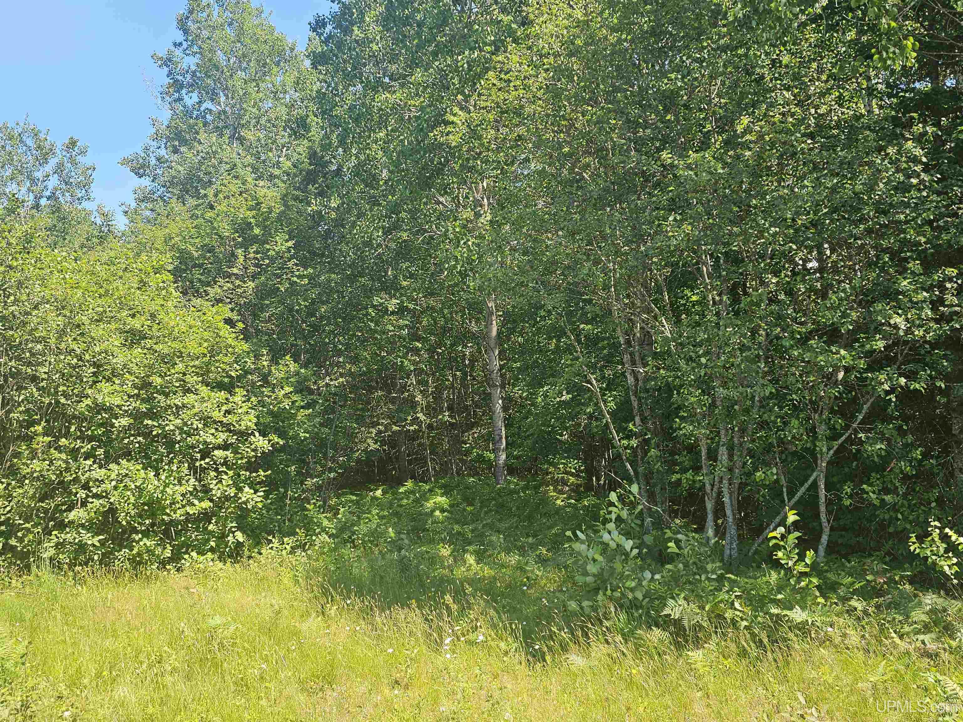 Tbd Parcel M24 River Trails Road Property Photo 3