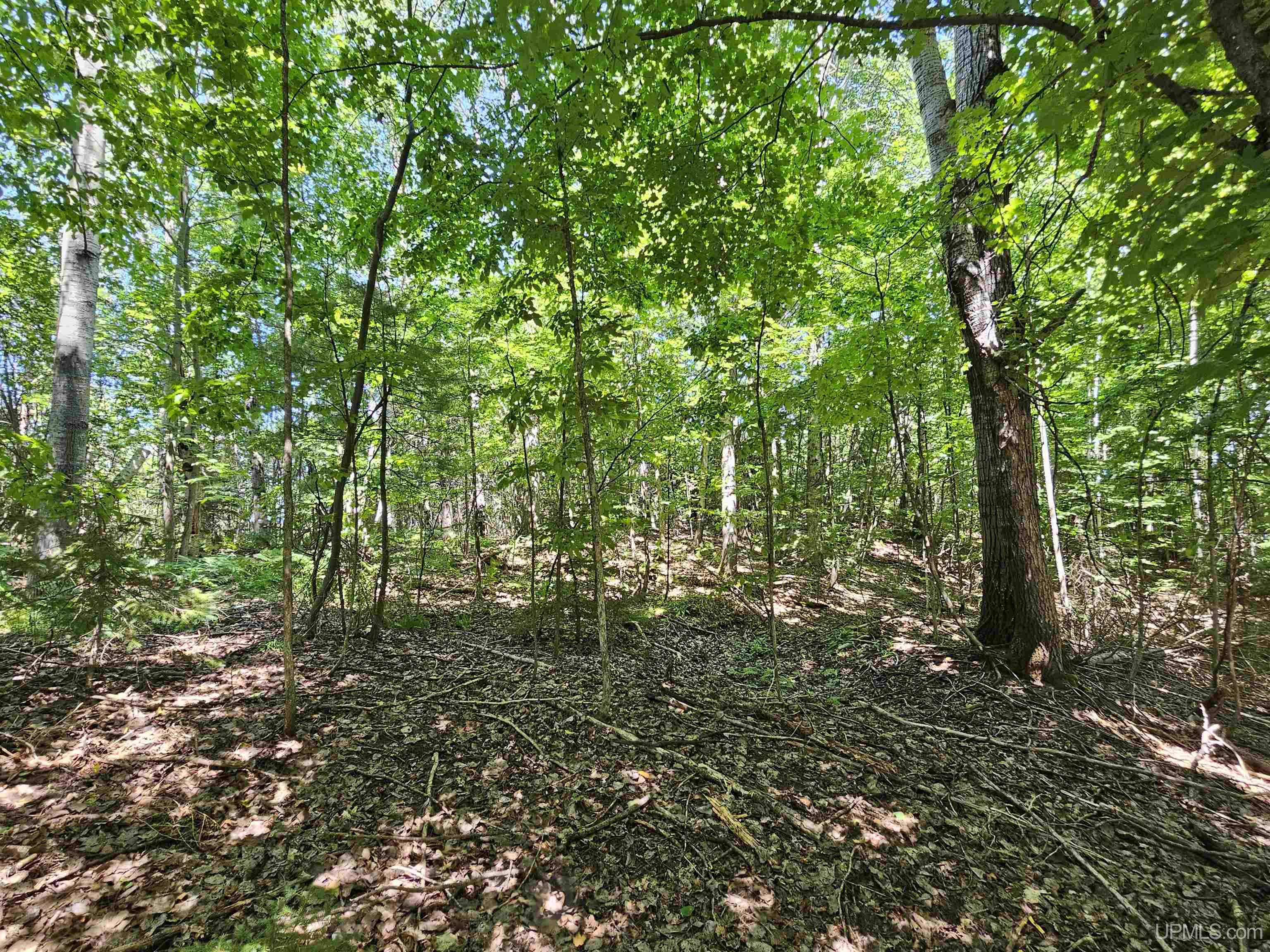 Tbd Parcel M24 River Trails Road Property Photo 4