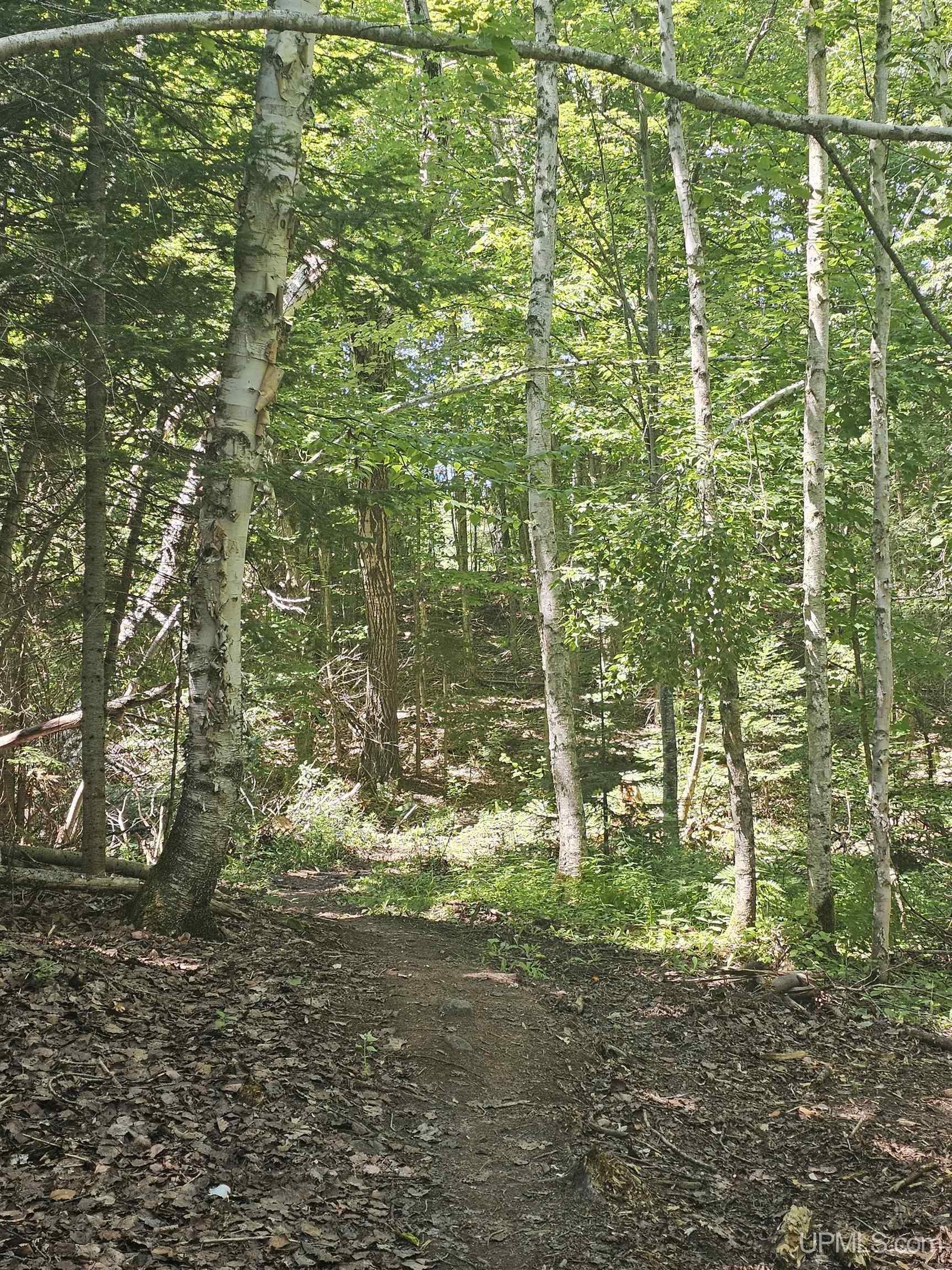 Tbd Parcel M24 River Trails Road Property Photo 7