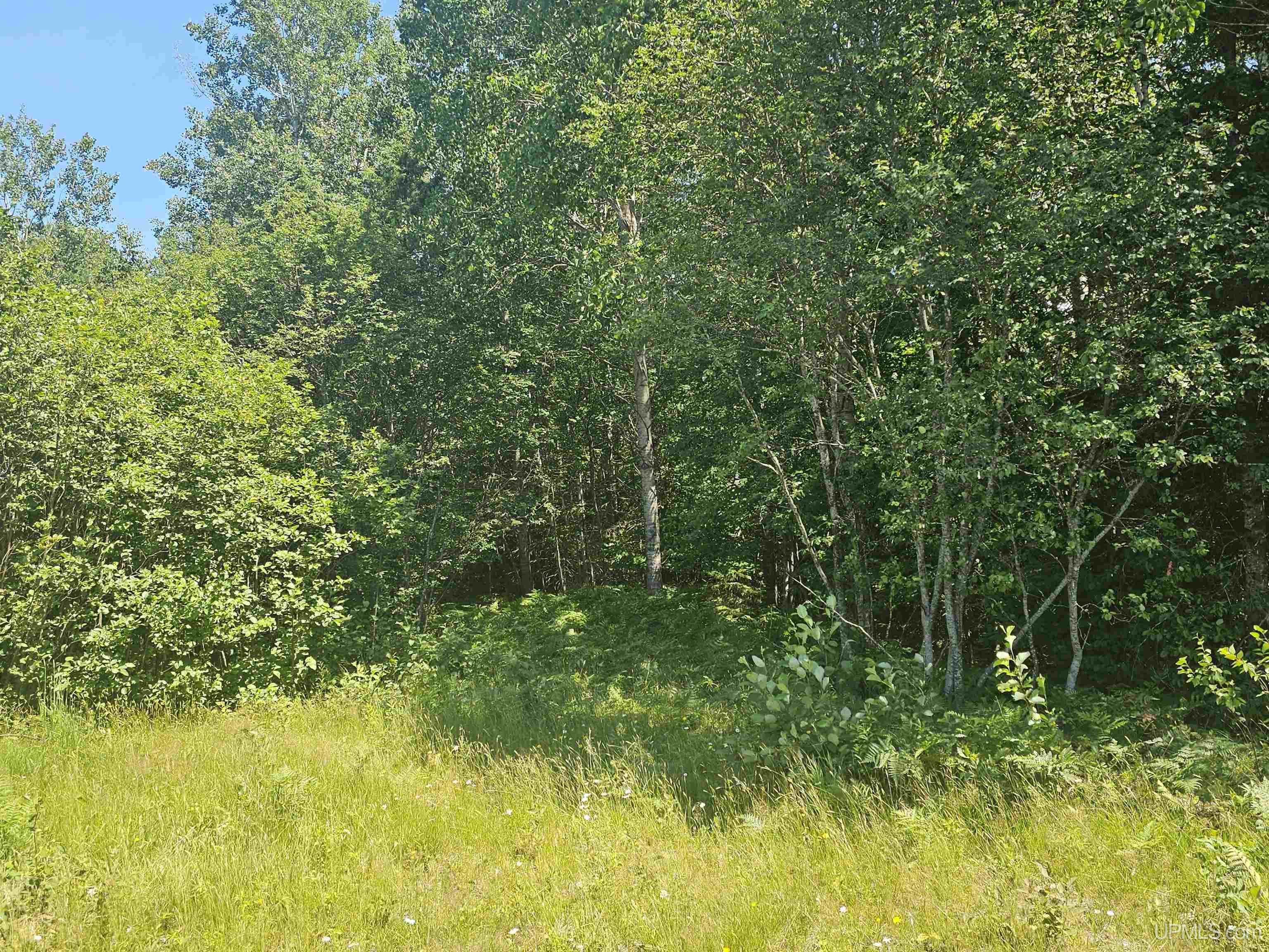 Tbd Parcel M24 River Trails Road Property Photo 9