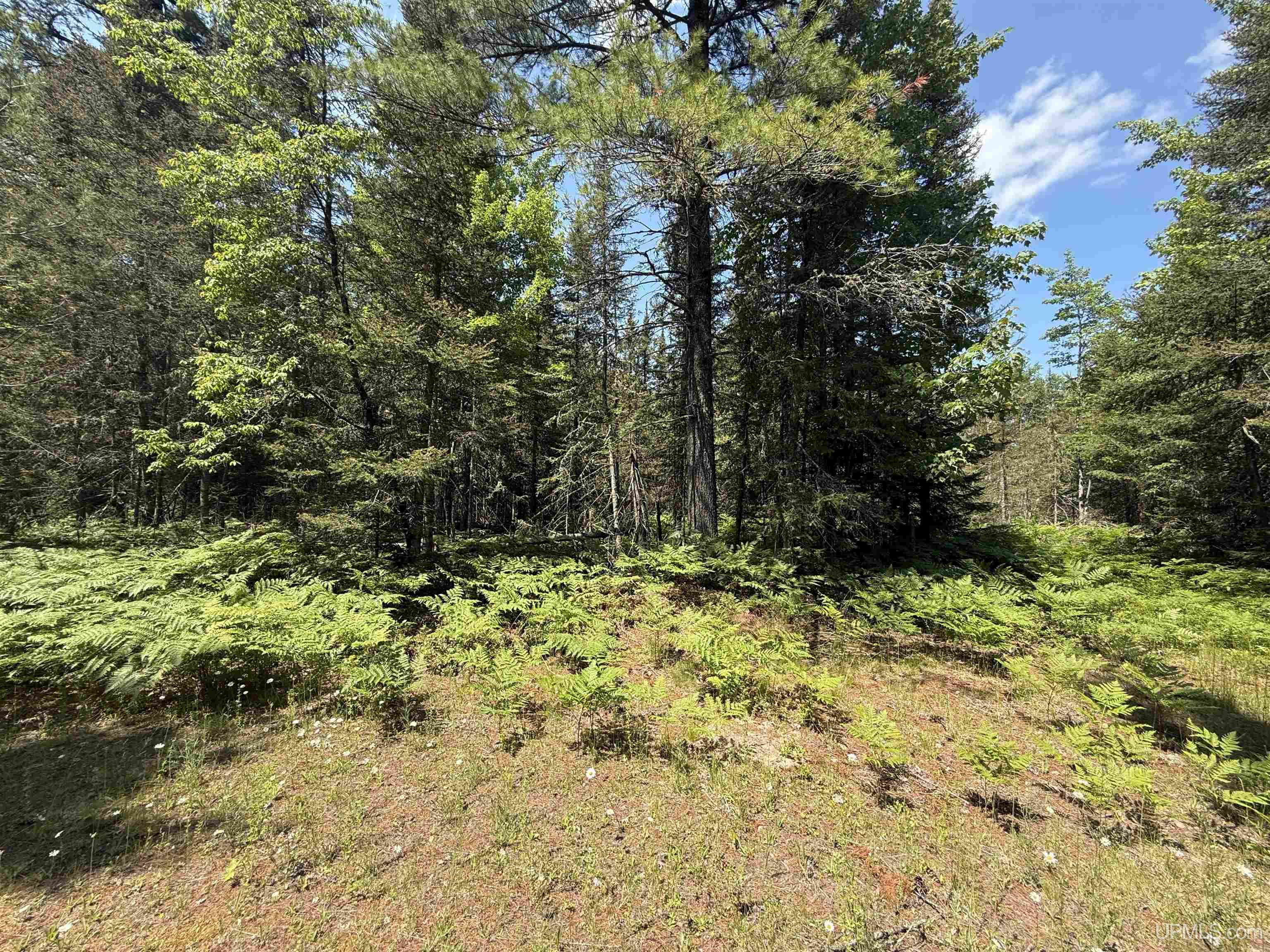 Tbd Tall Timber Trail Property Photo 1
