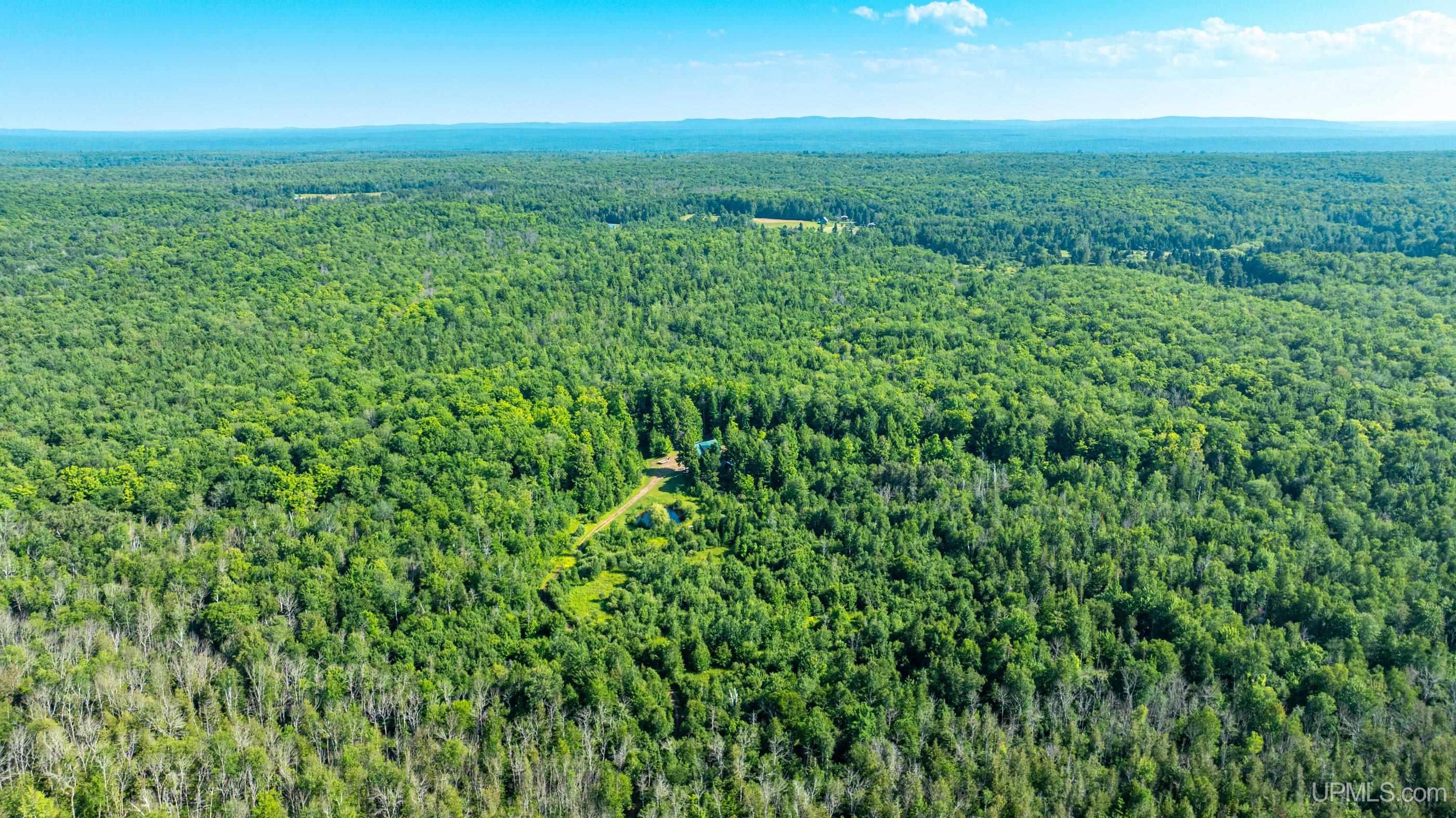 21484 Pinery Cemetery Road Property Photo 60