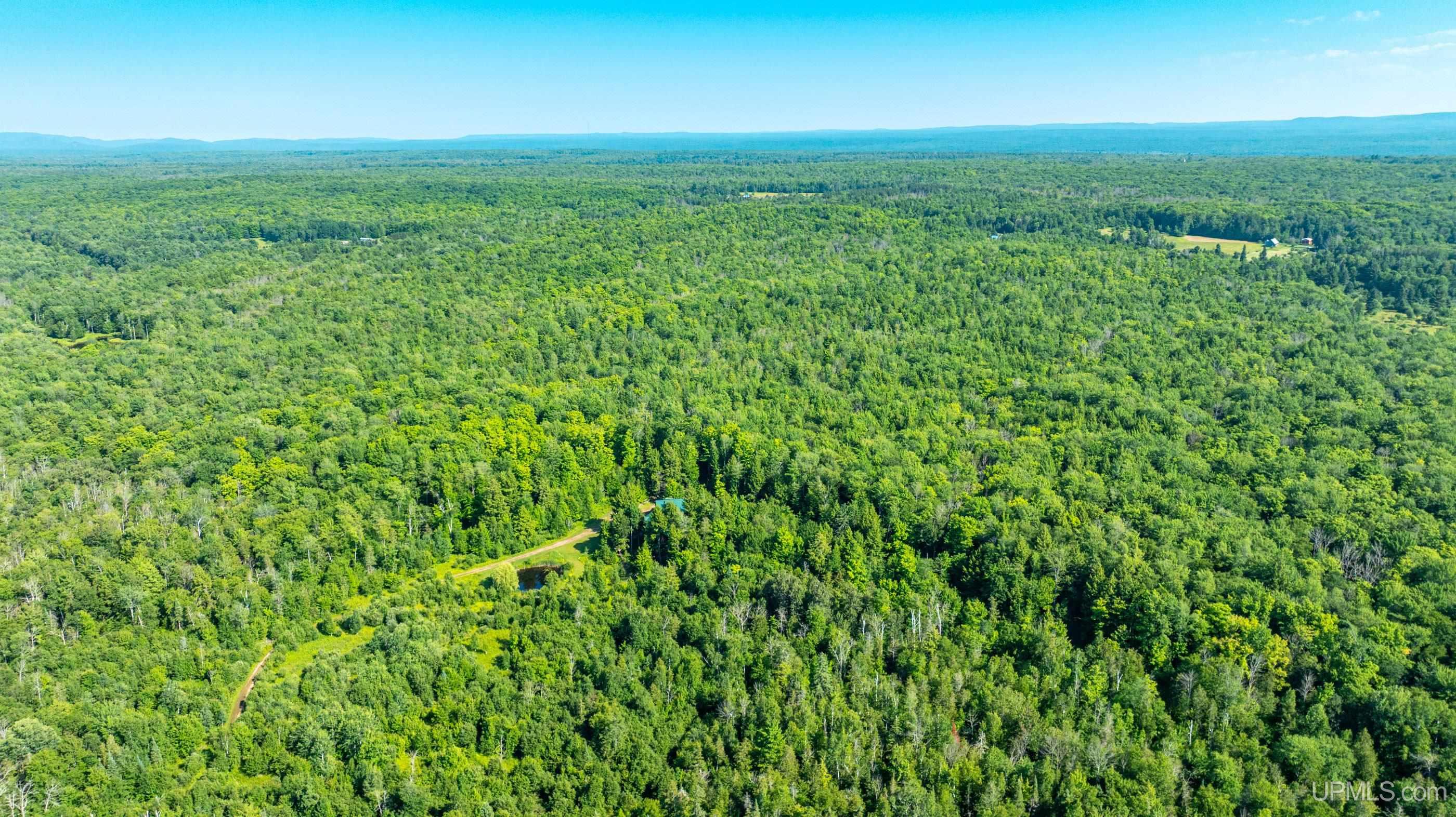 21484 Pinery Cemetery Road Property Photo 63