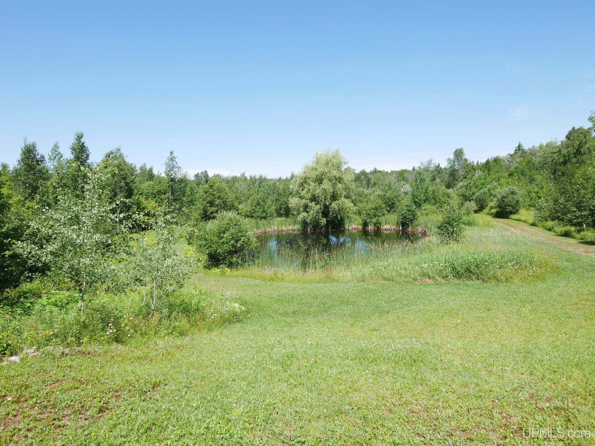 21484 Pinery Cemetery Road Property Photo 69