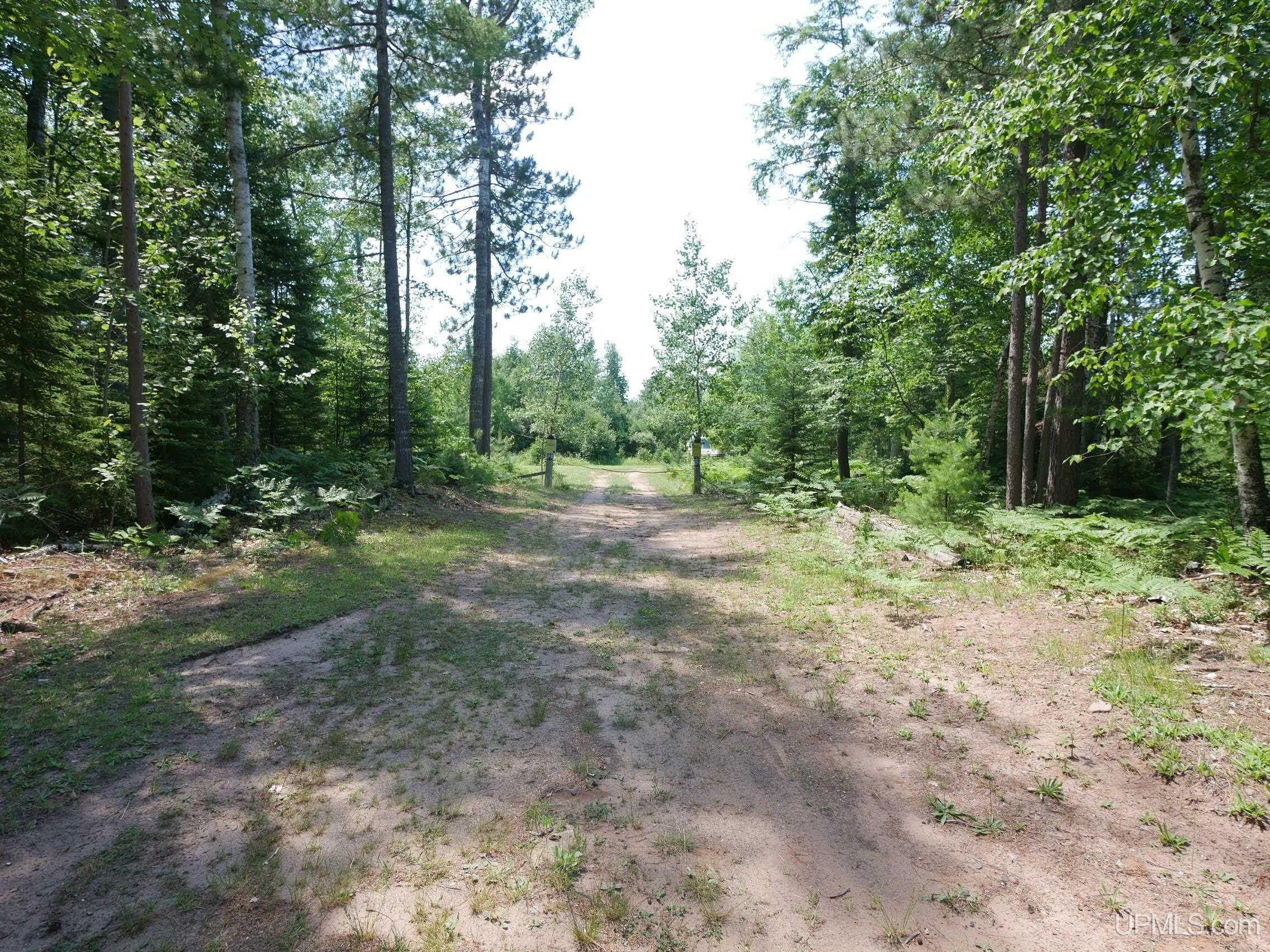21484 Pinery Cemetery Road Property Photo 71