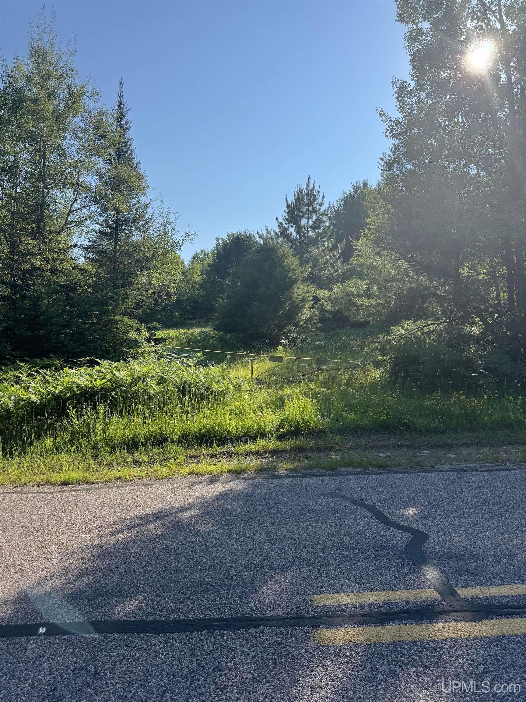 Tbd Co Rd 601 Road Property Photo 1