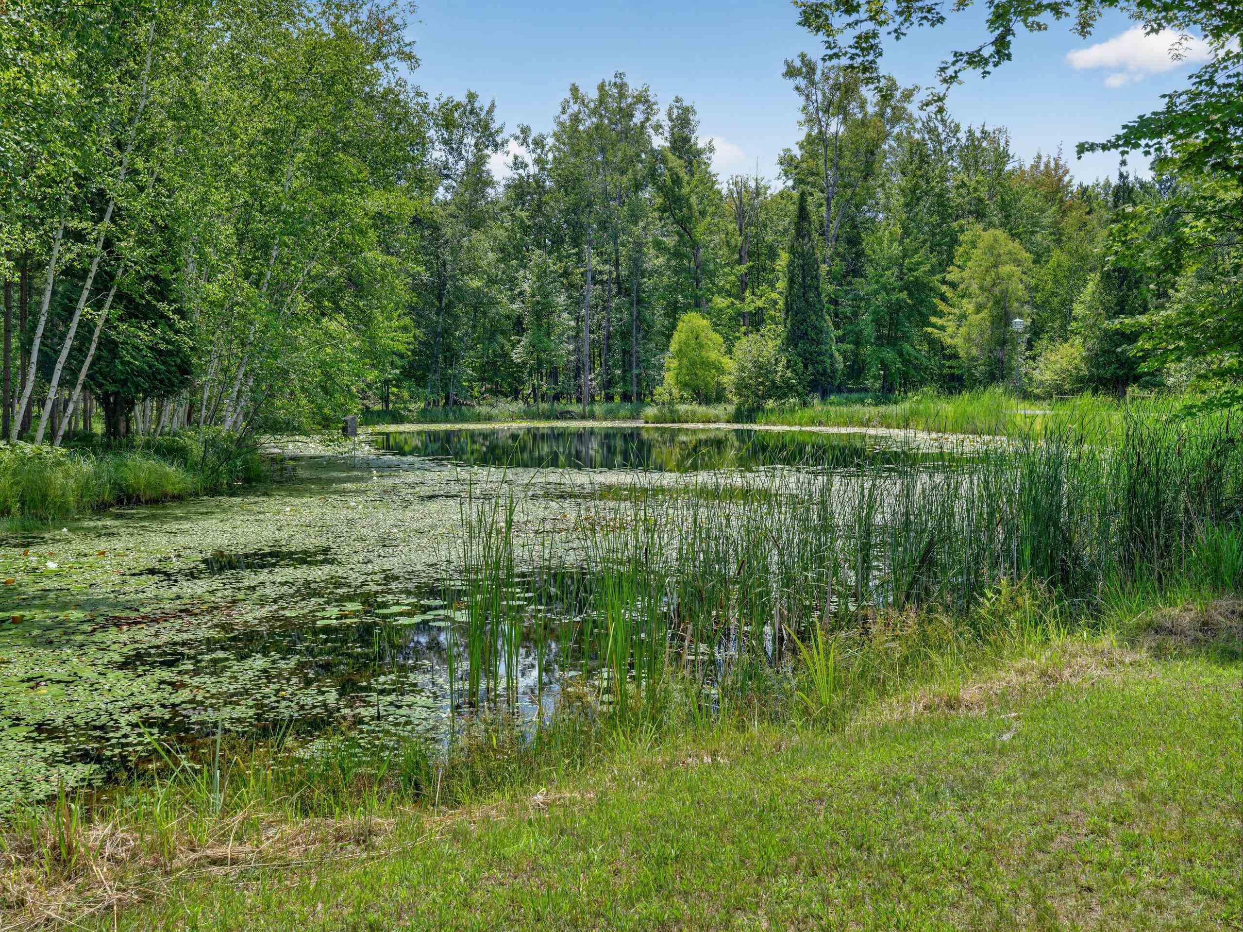 457 E Mier Road Property Photo 32