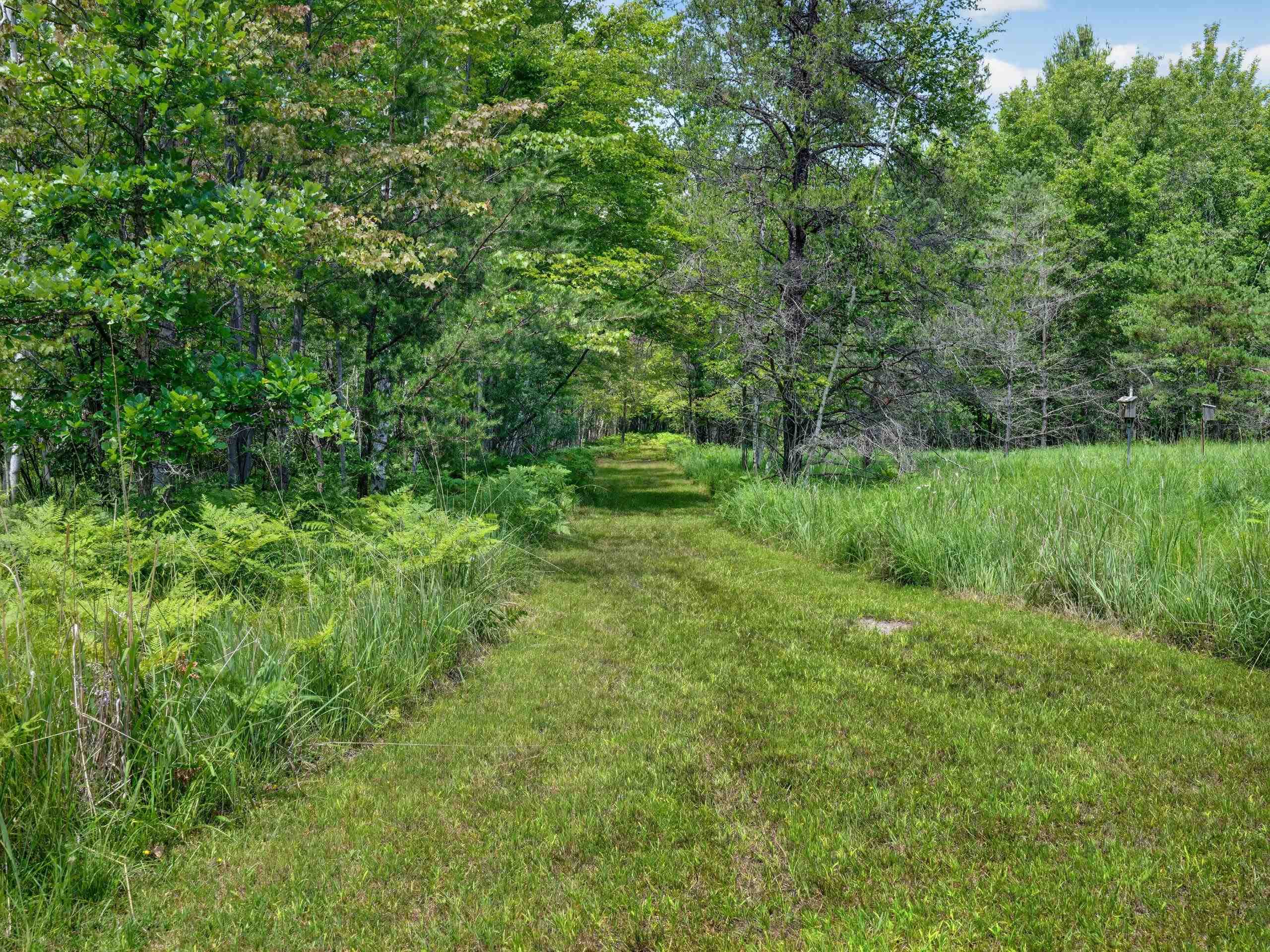 457 E Mier Road Property Photo 42