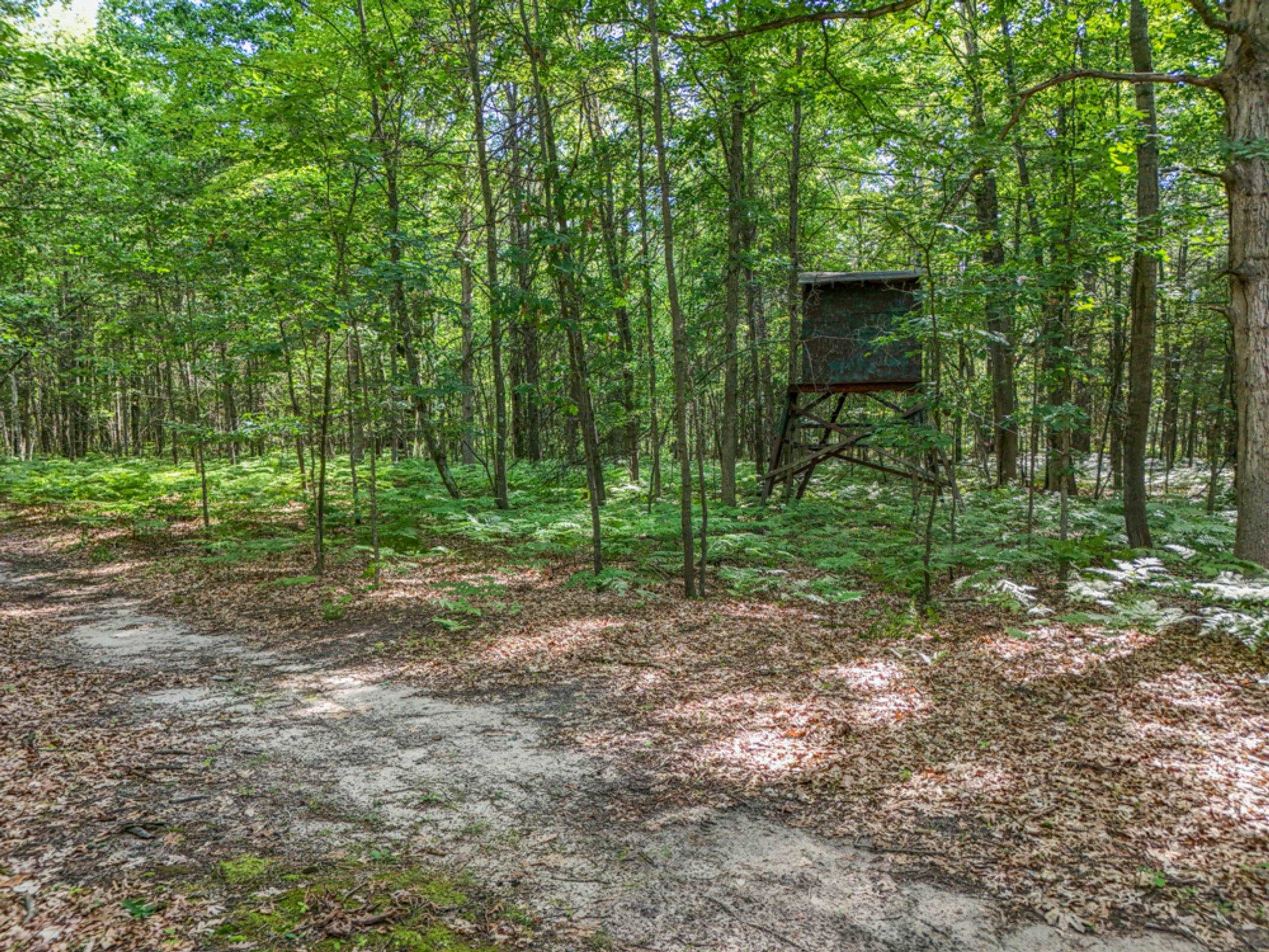 457 E Mier Road Property Photo 43