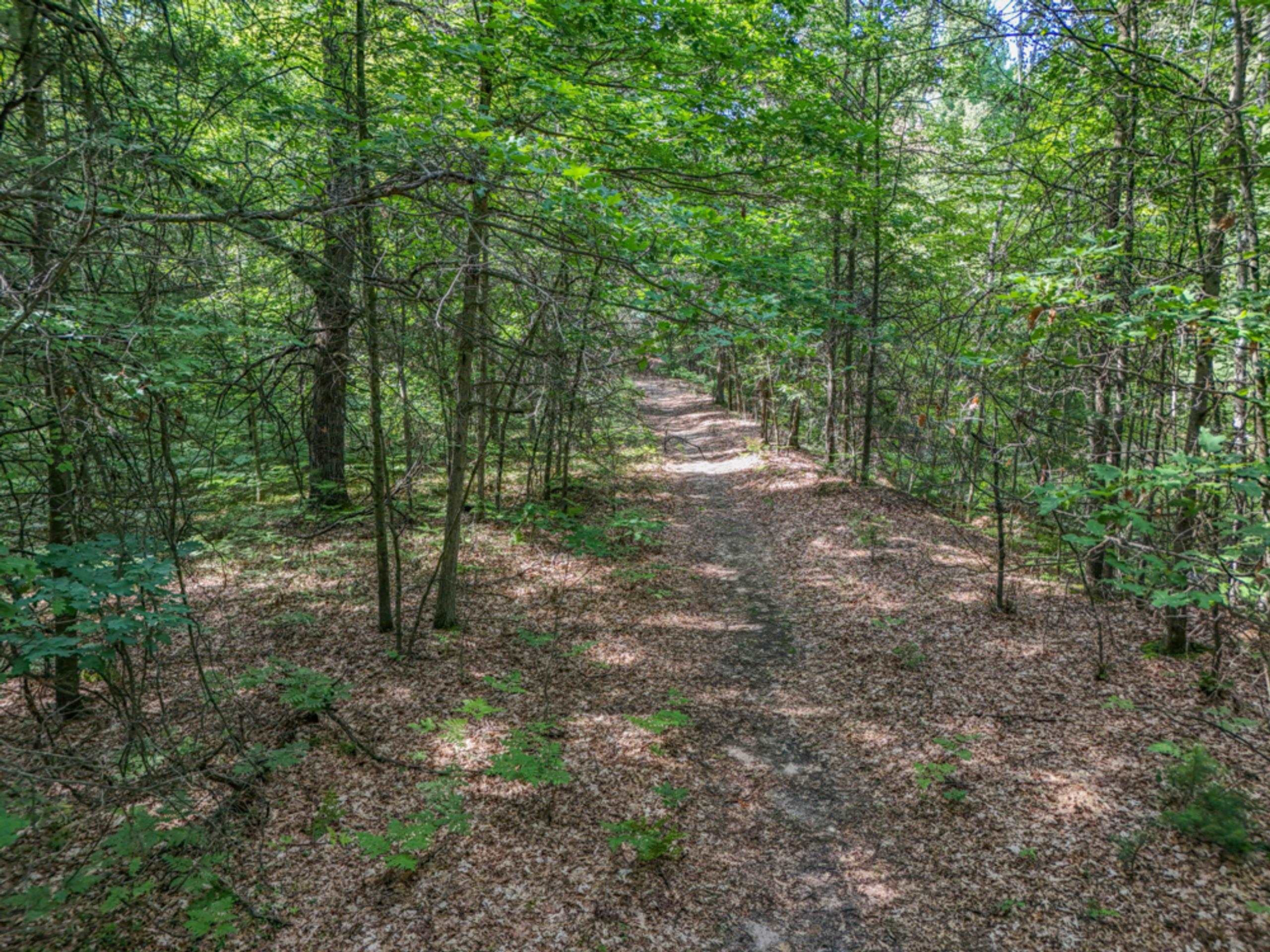 457 E Mier Road Property Photo 45