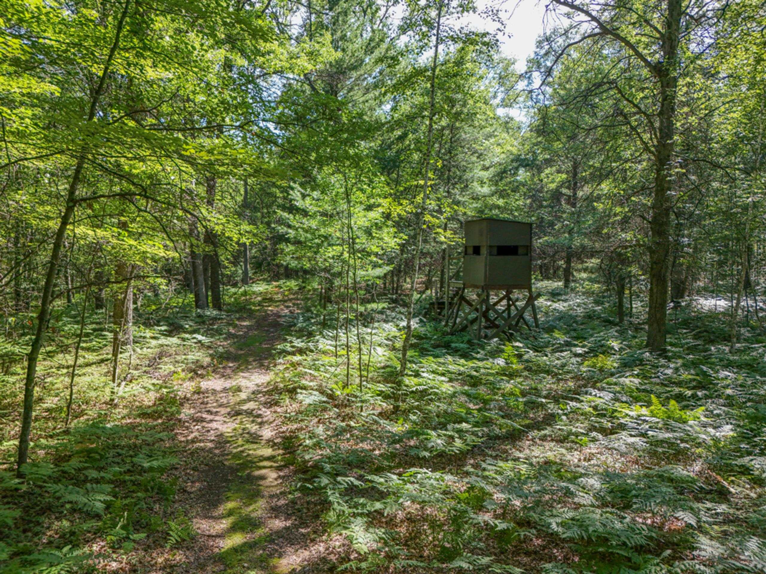 457 E Mier Road Property Photo 46