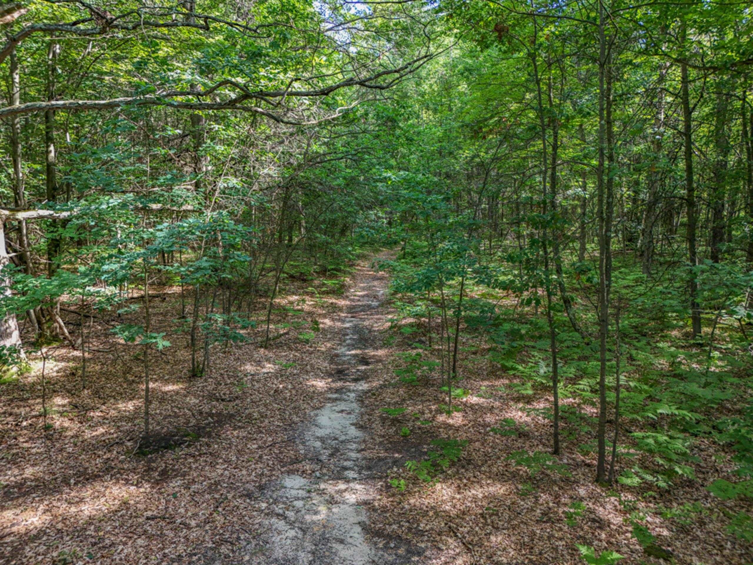 457 E Mier Road Property Photo 47