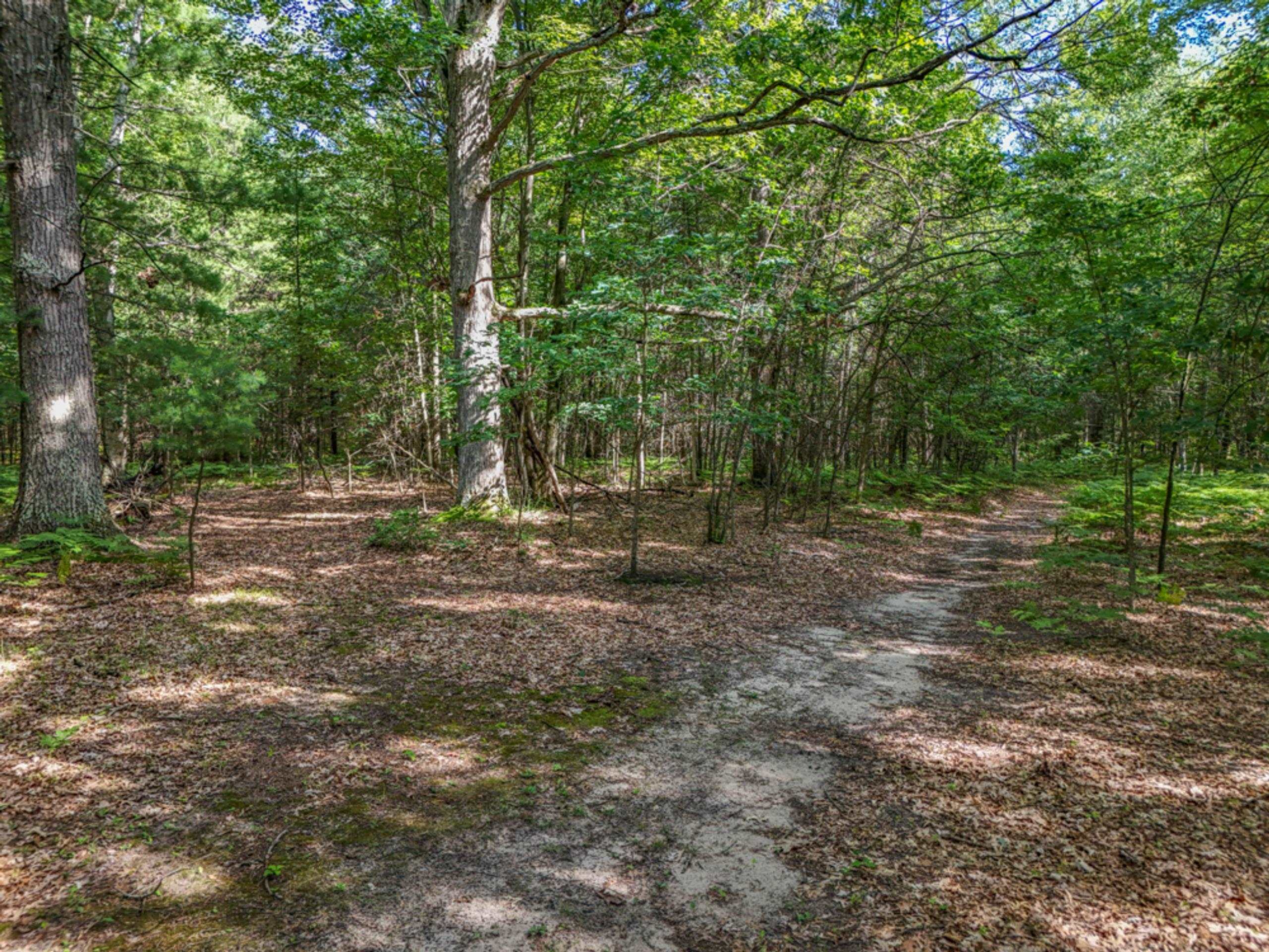 457 E Mier Road Property Photo 48