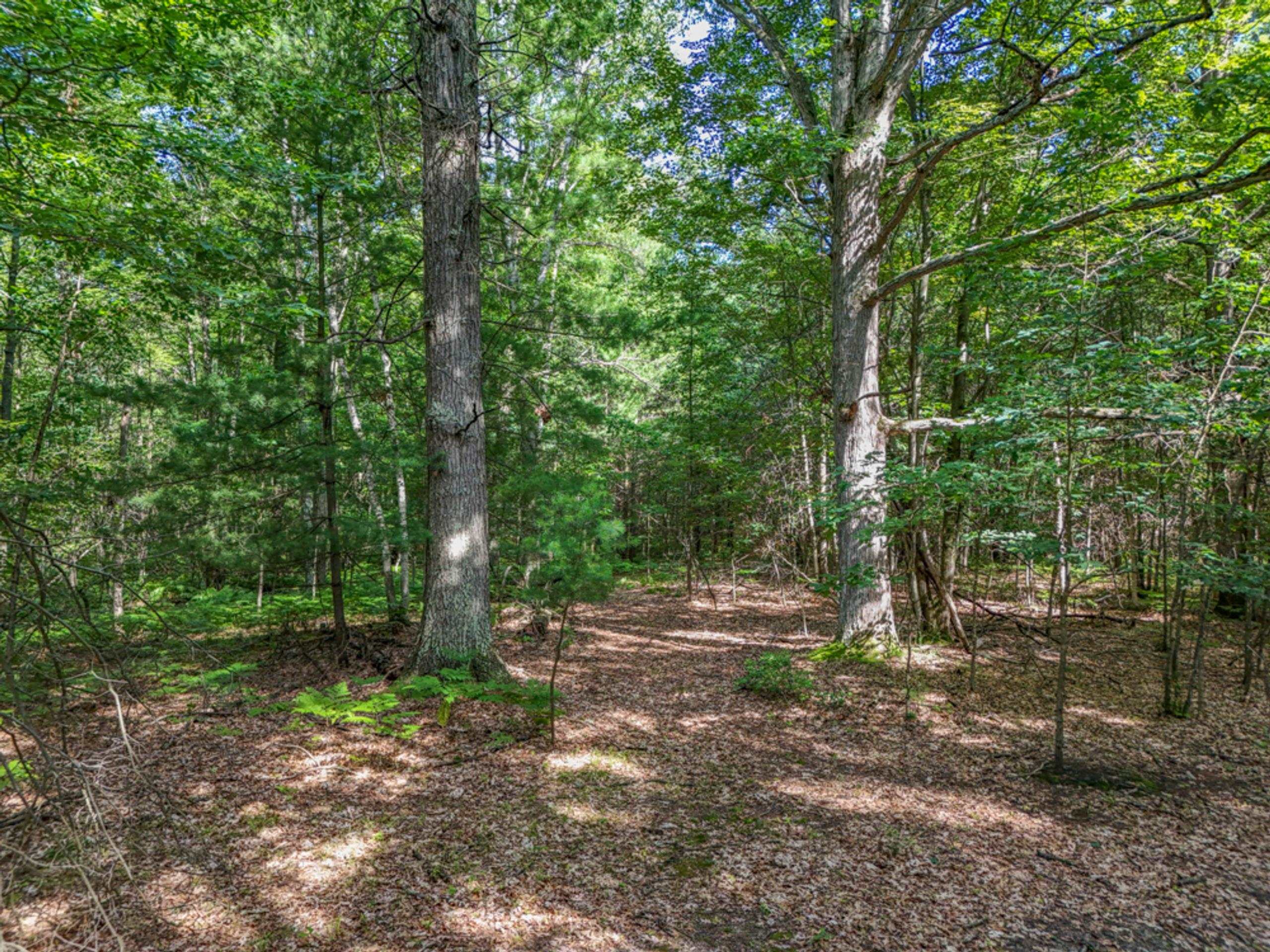457 E Mier Road Property Photo 49