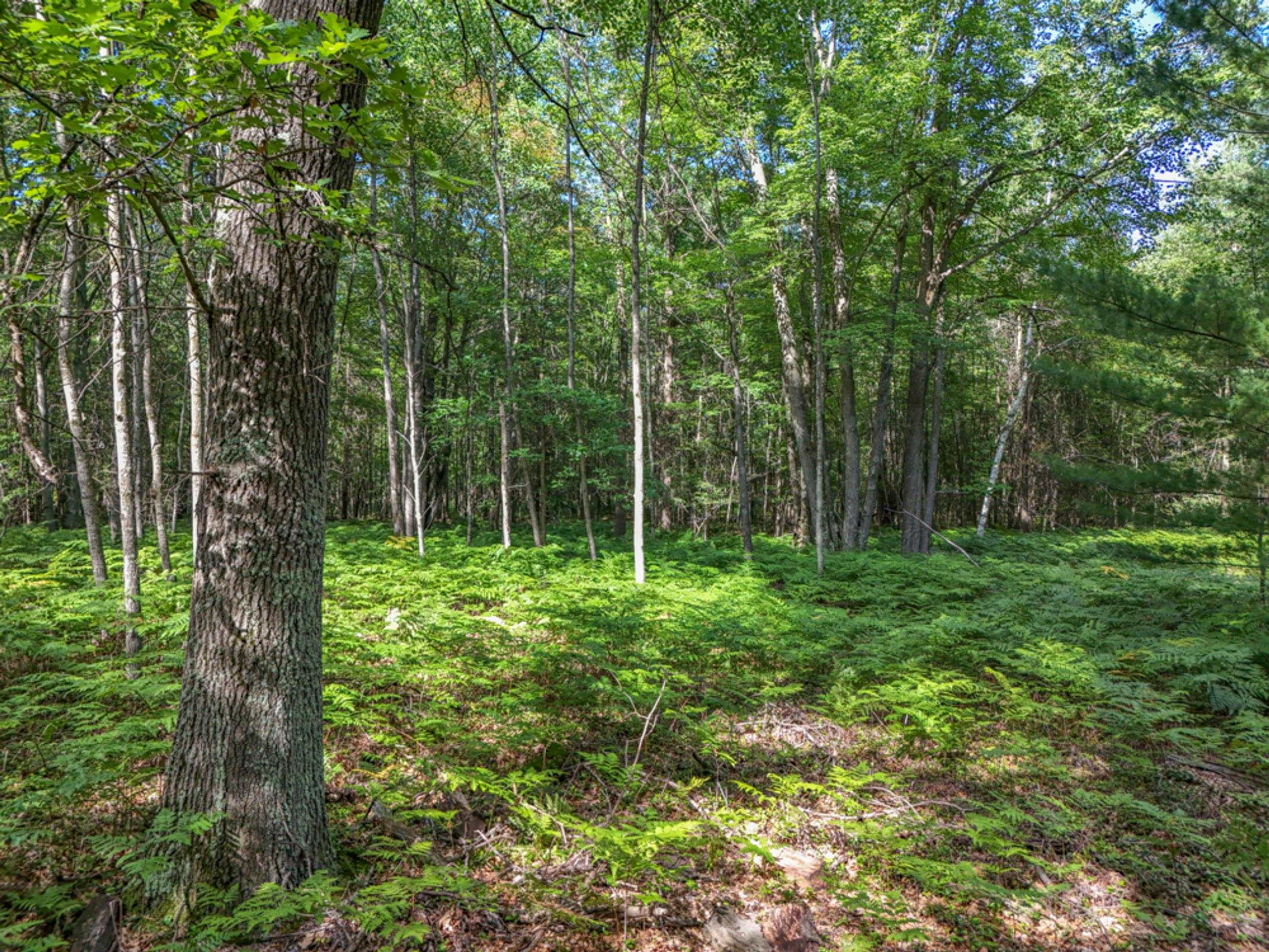 457 E Mier Road Property Photo 50