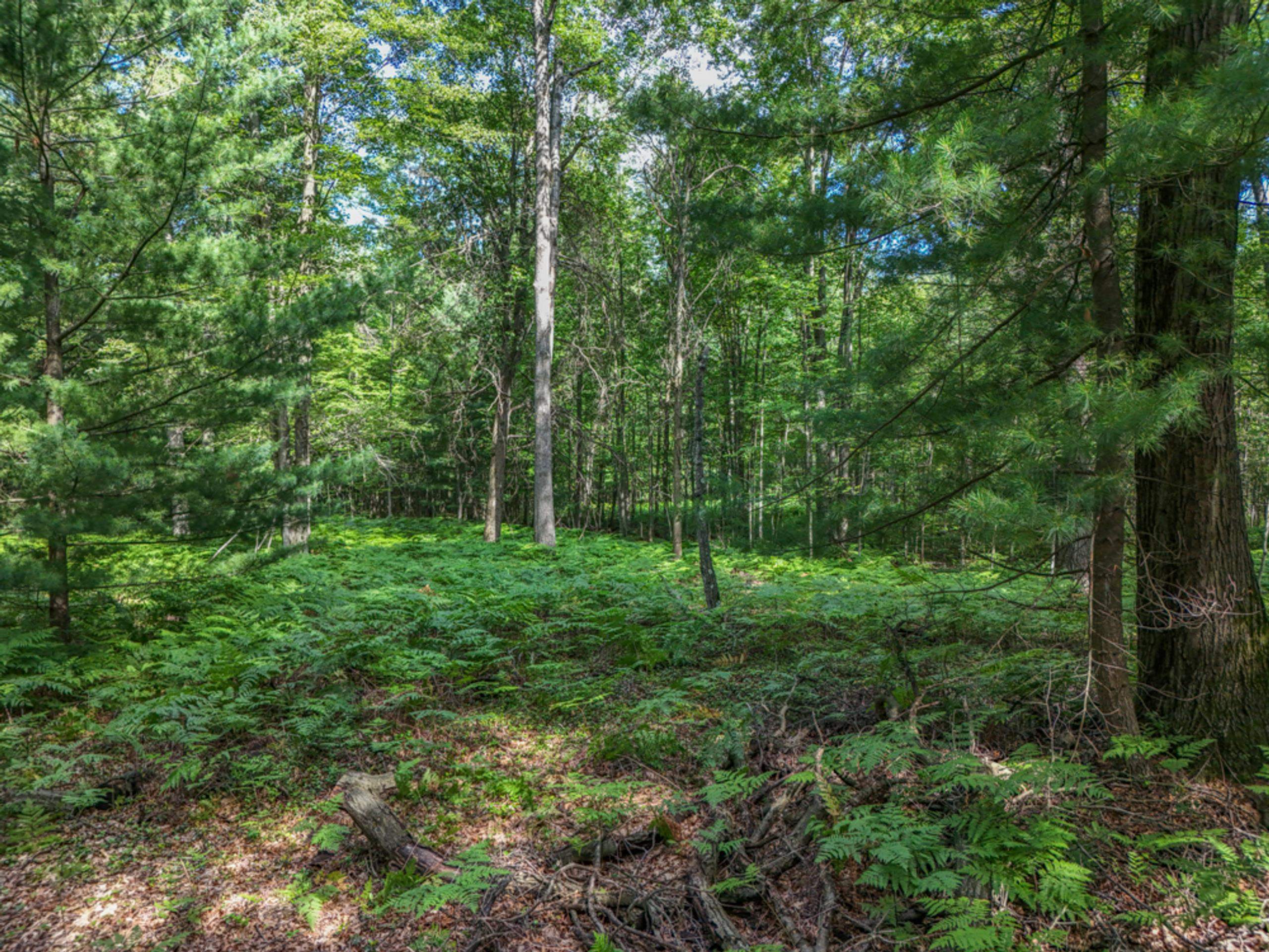 457 E Mier Road Property Photo 51