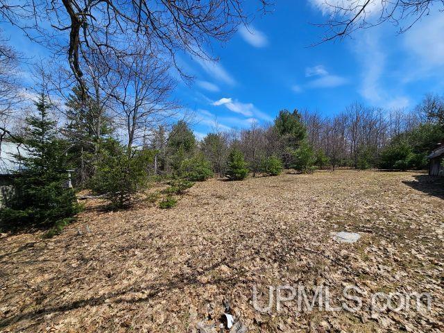Tbd Us 41 Highway Property Photo 6