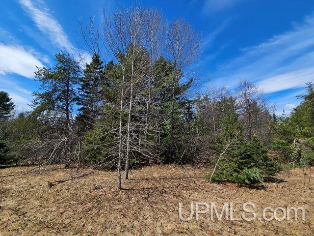 Tbd Us 41 Highway Property Photo 9