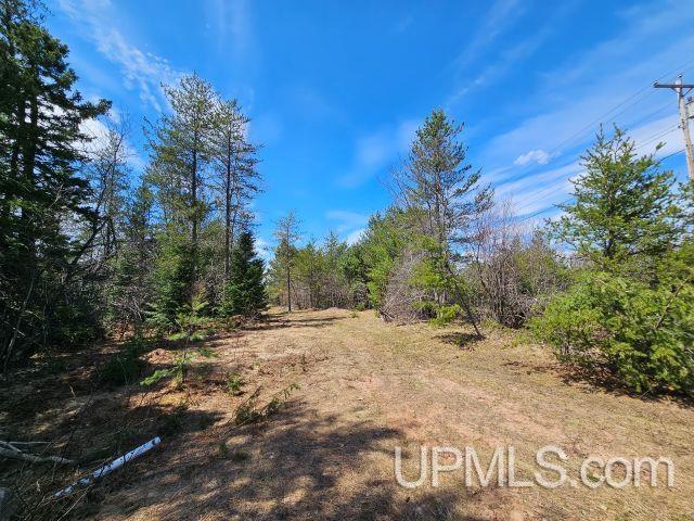 Tbd Us 41 Highway Property Photo 10