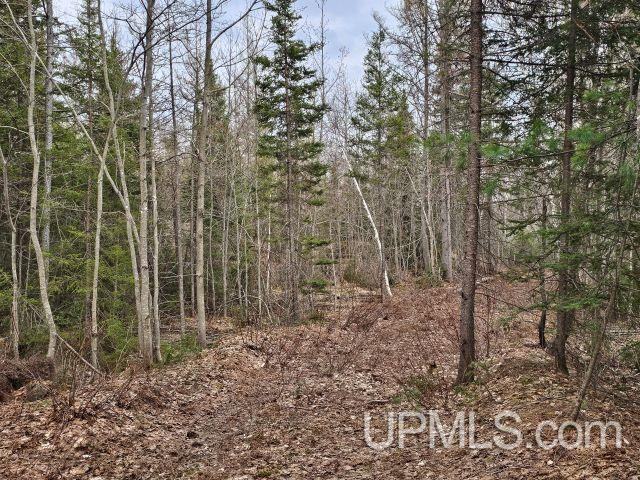40 Acres Off Co Rd Gx Road Property Photo 1