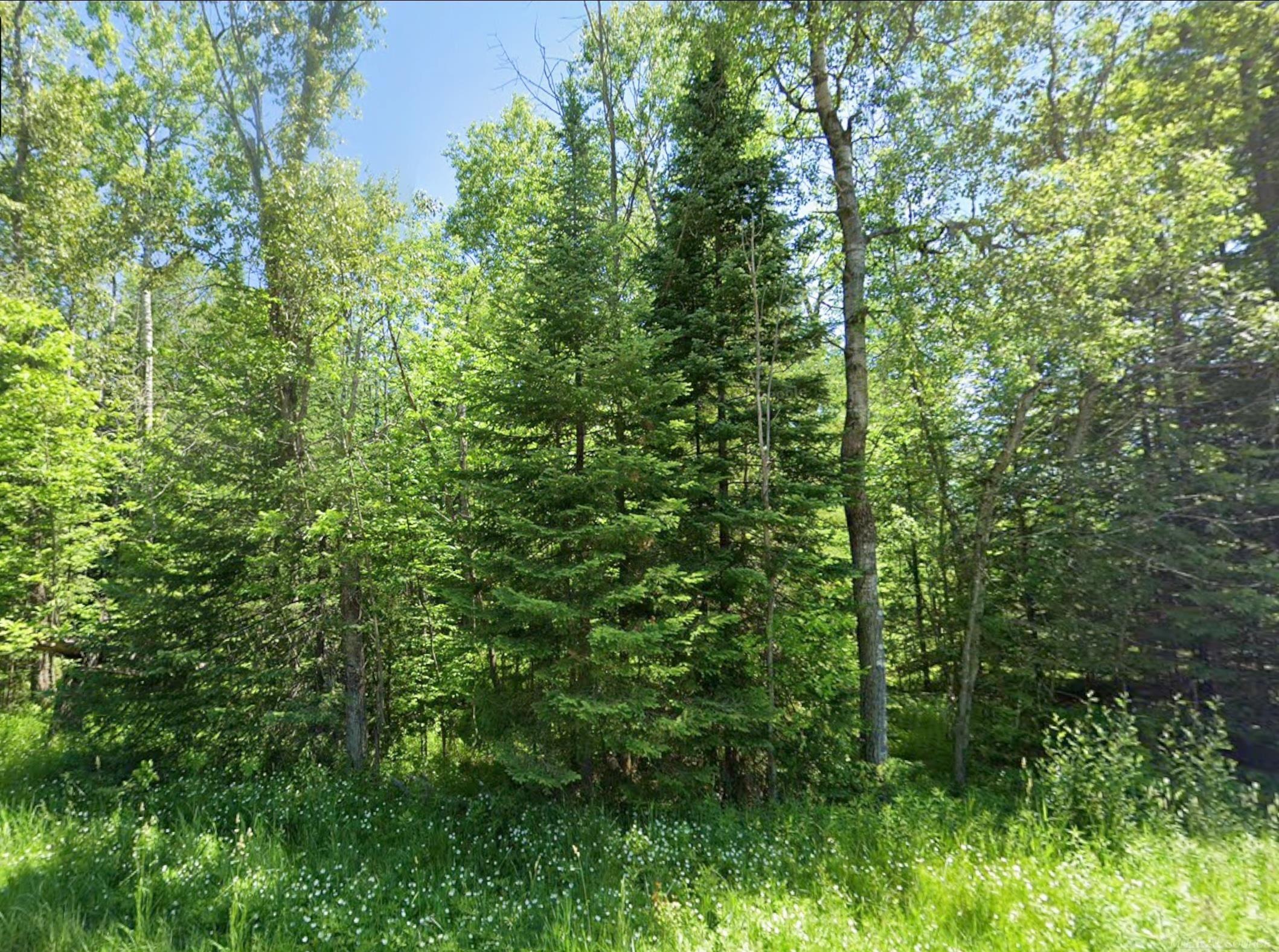 0 Sawyer Lane Property Photo 1