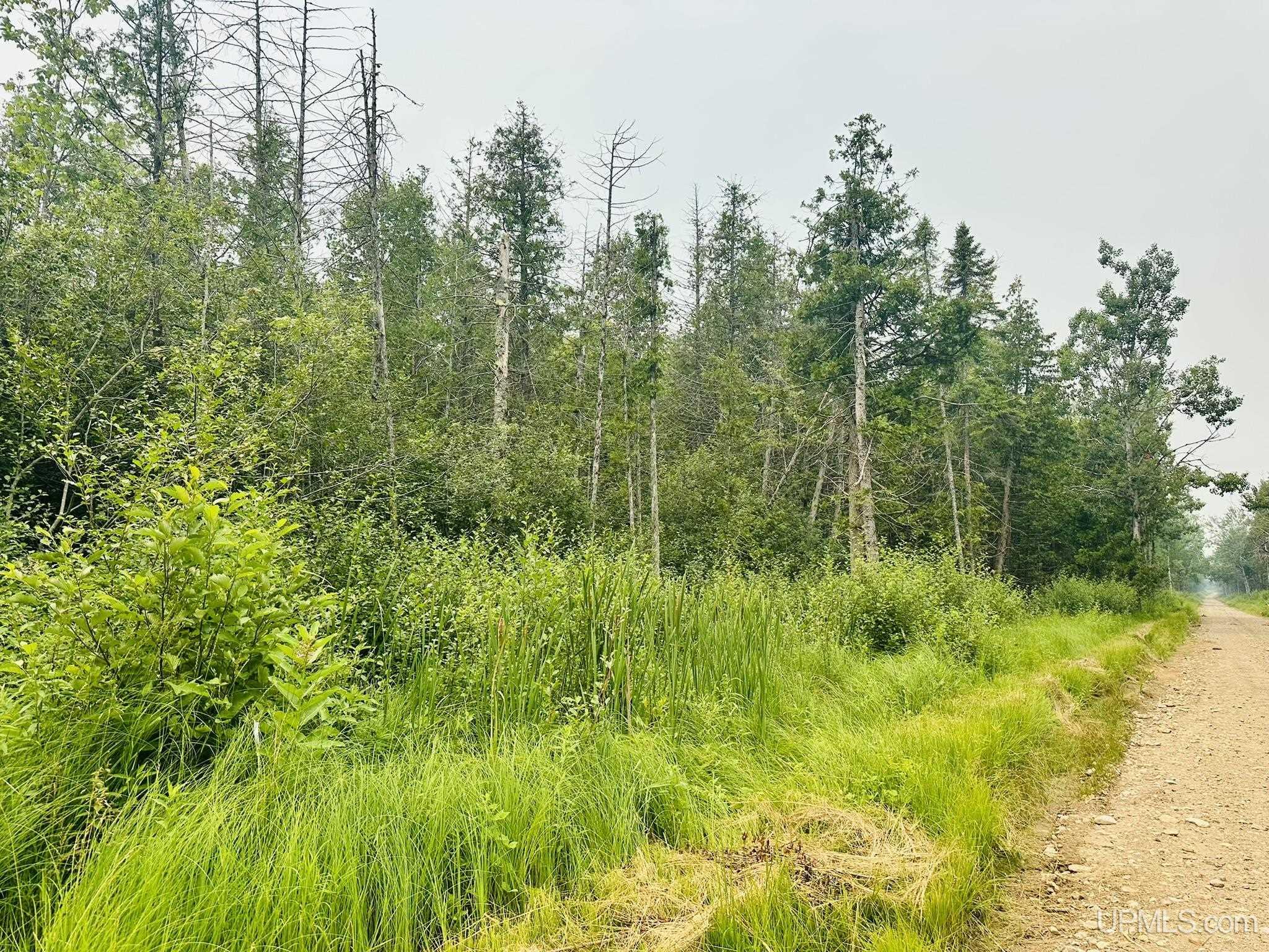 Tbd I Road Property Photo 4