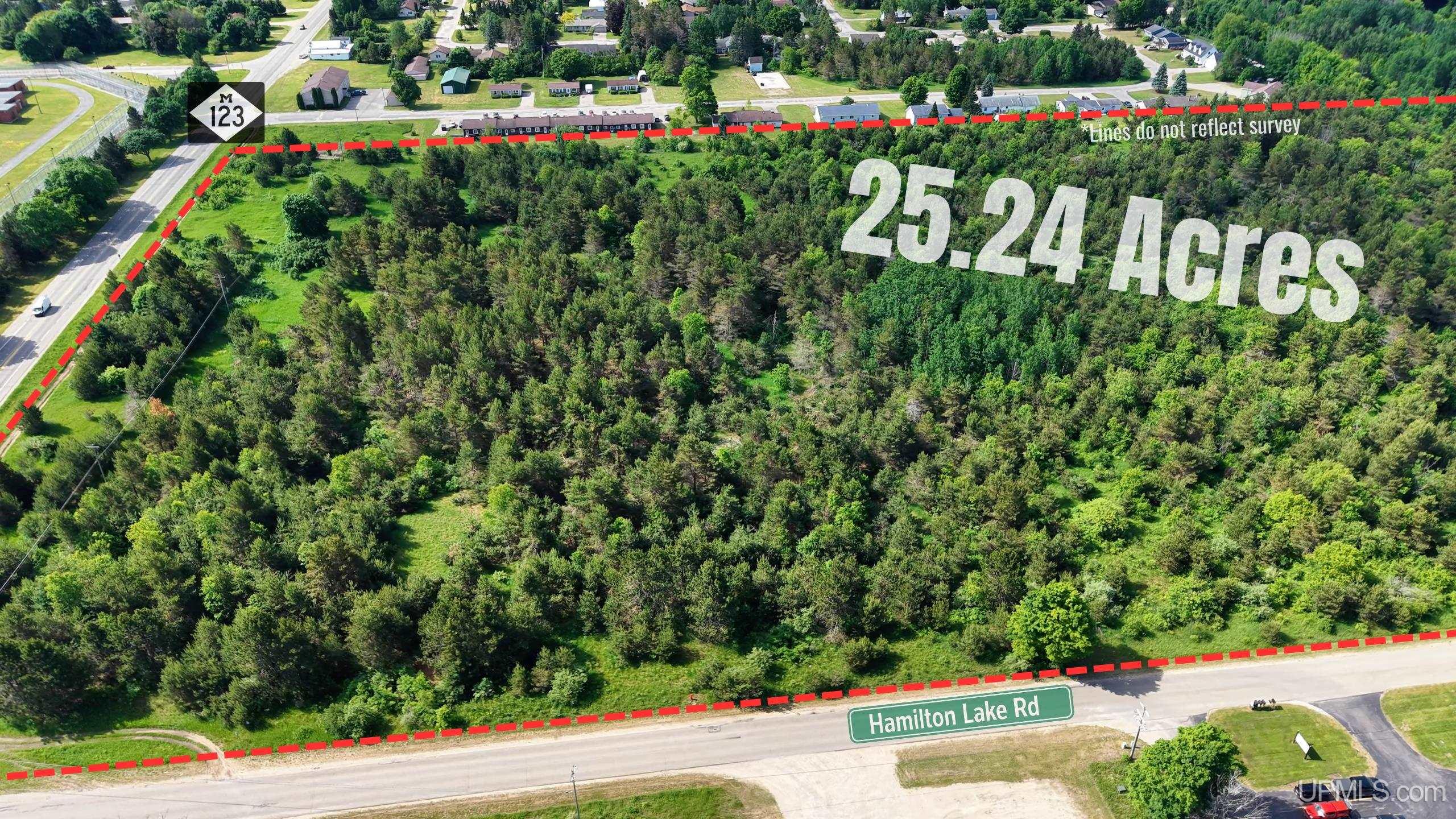 Tbd State Hwy M-123 Highway Property Photo 1