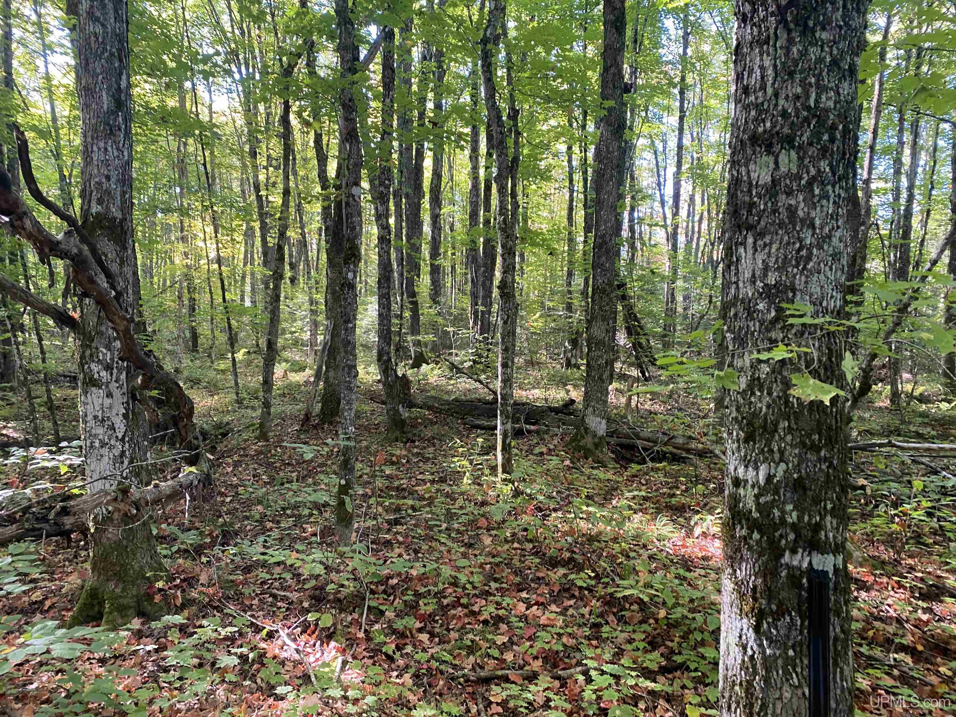E968 Mcafee Road Property Photo 25