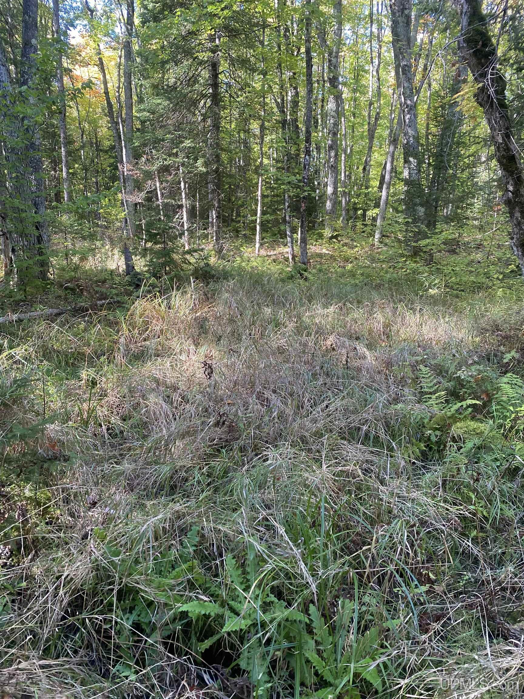 E968 Mcafee Road Property Photo 27