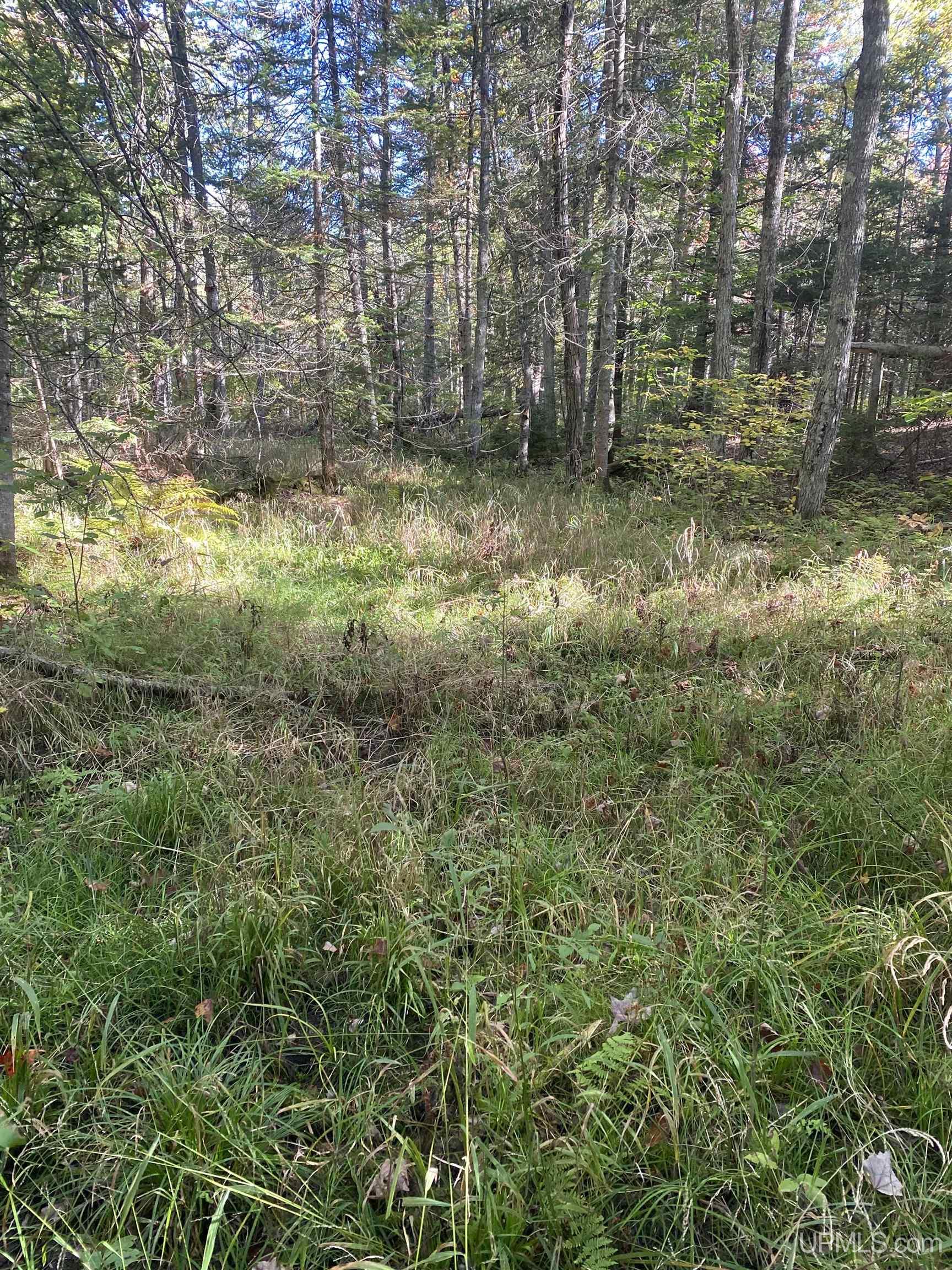 E968 Mcafee Road Property Photo 28
