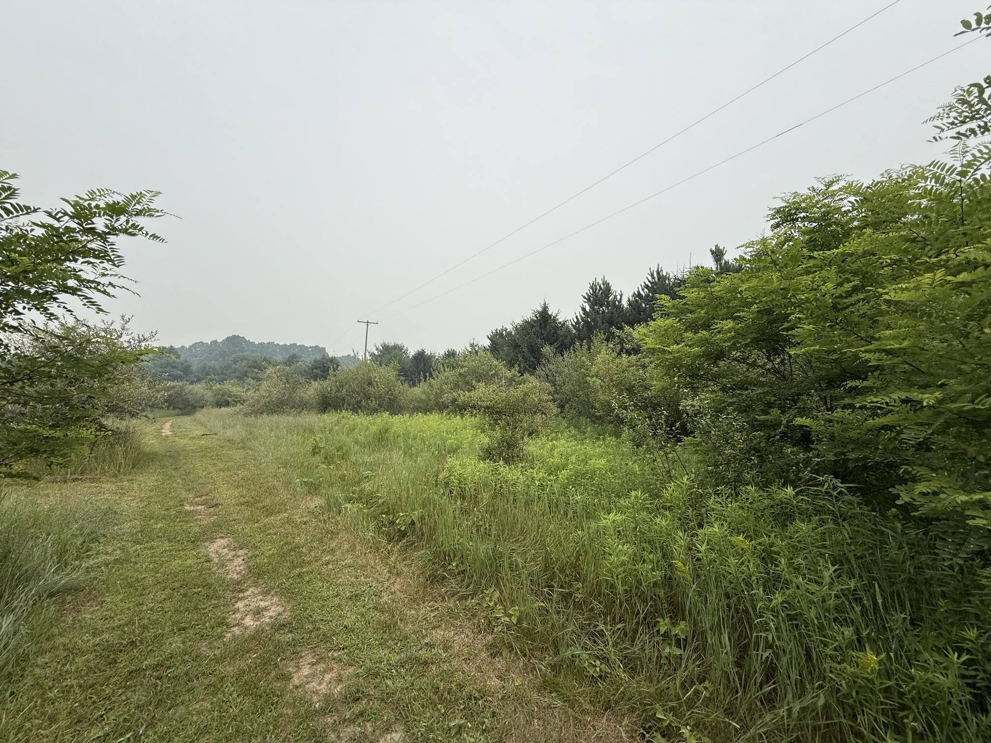 20 Acres E M-30 Highway Property Photo 1