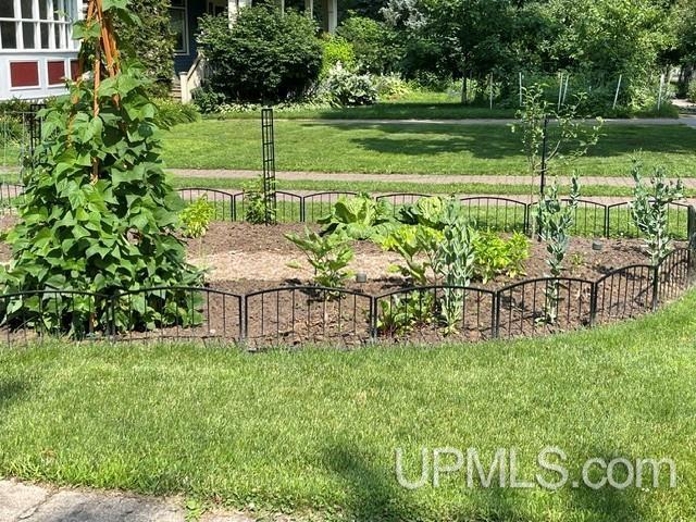 602 Spruce Street Property Photo 44