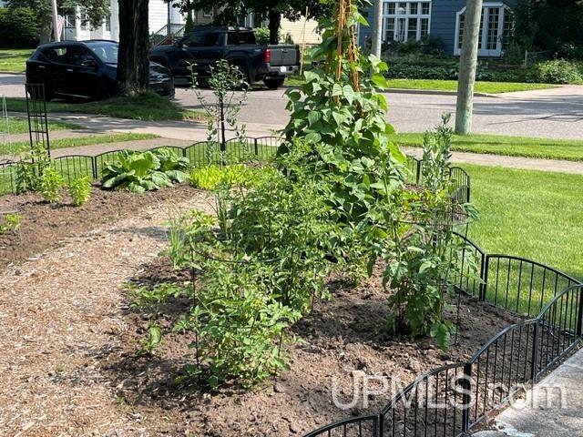 602 Spruce Street Property Photo 45