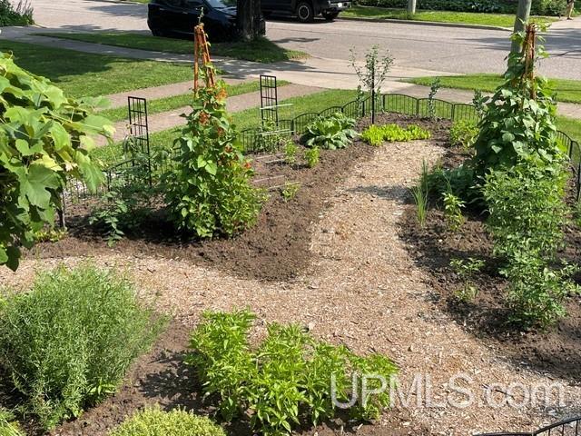 602 Spruce Street Property Photo 49