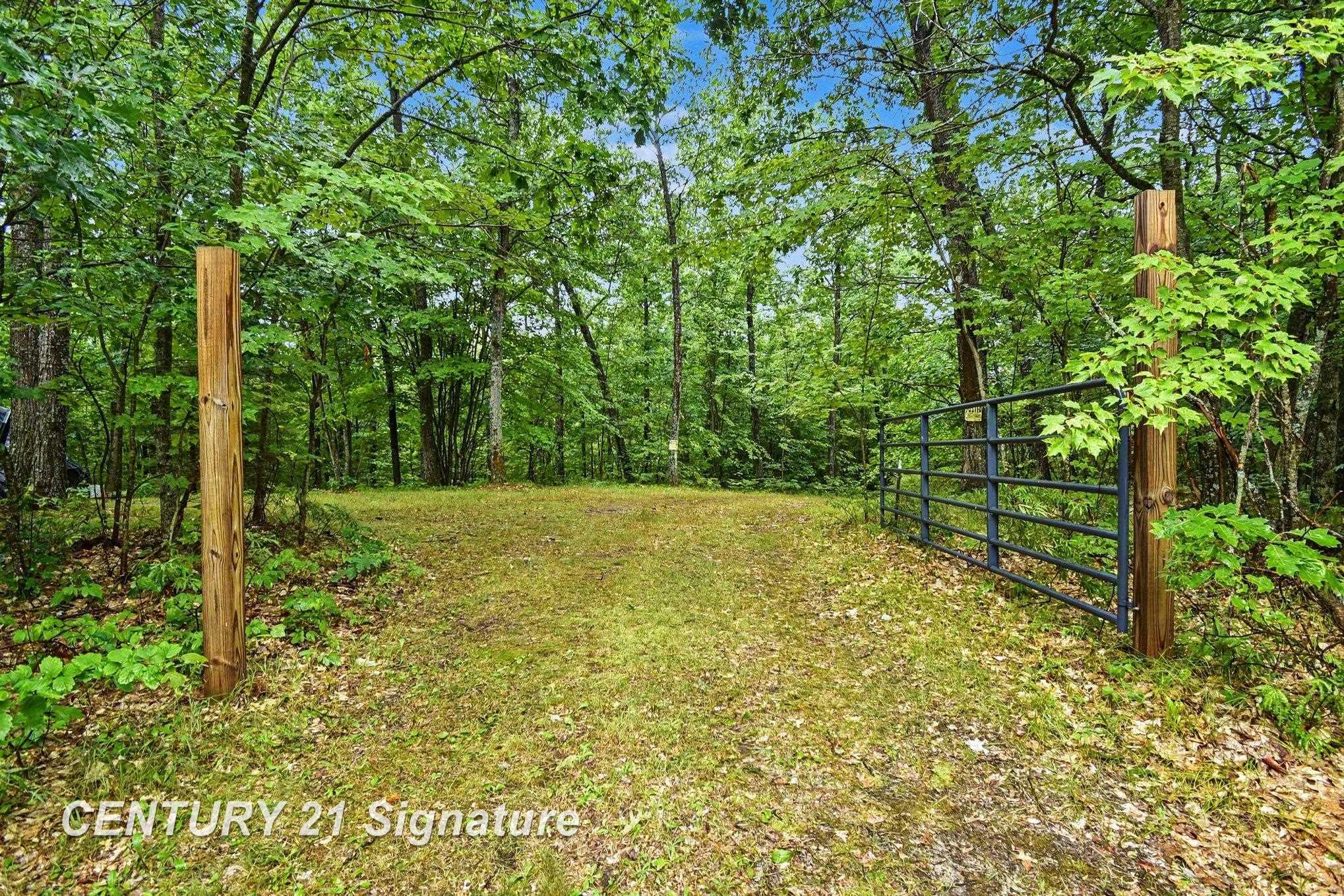 Richard Drive Property Photo 19
