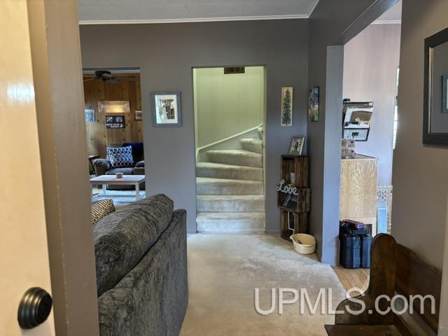 1219 Anthony Street Property Photo 4