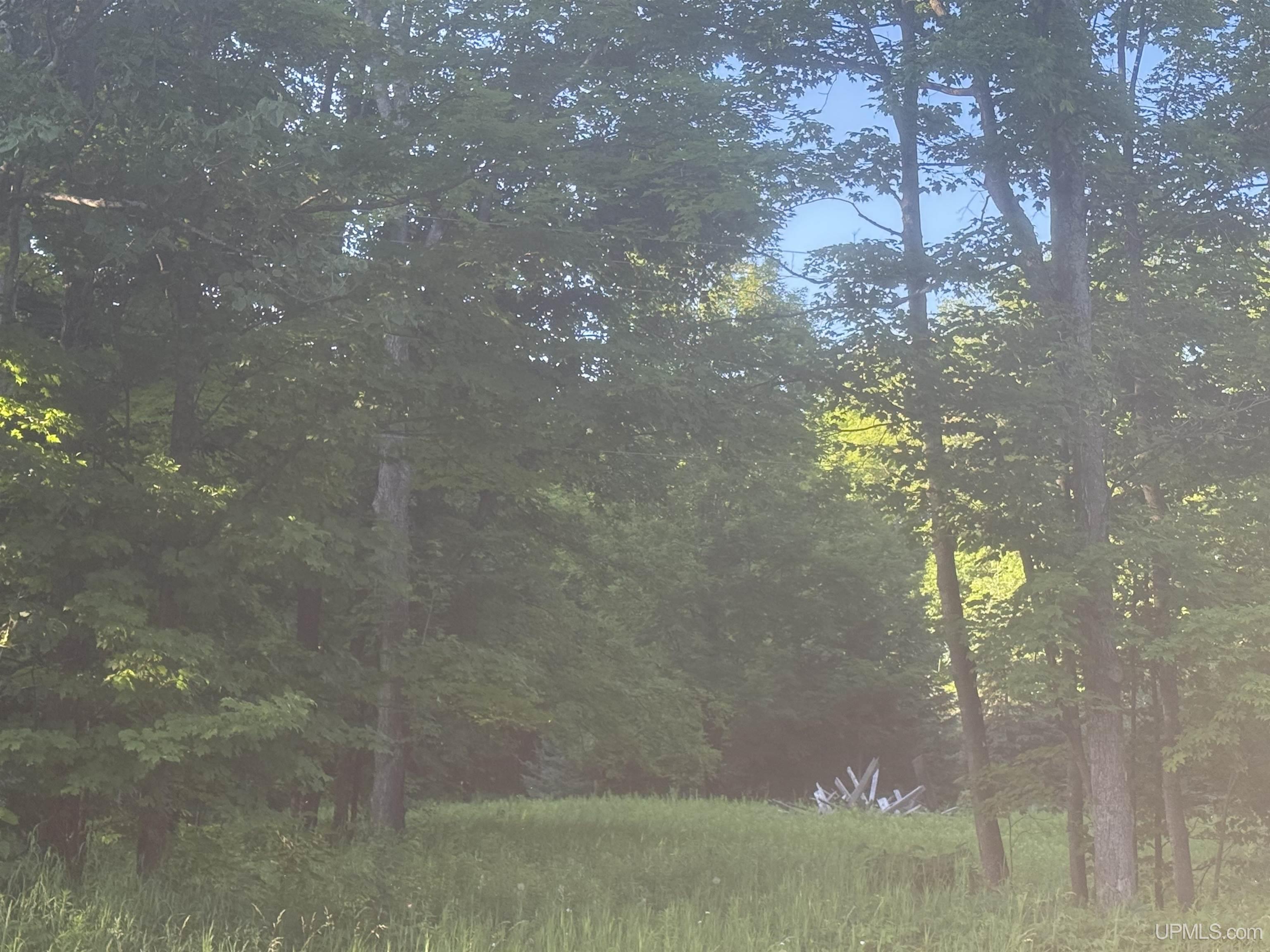 Tbd M69 Highway Property Photo 1