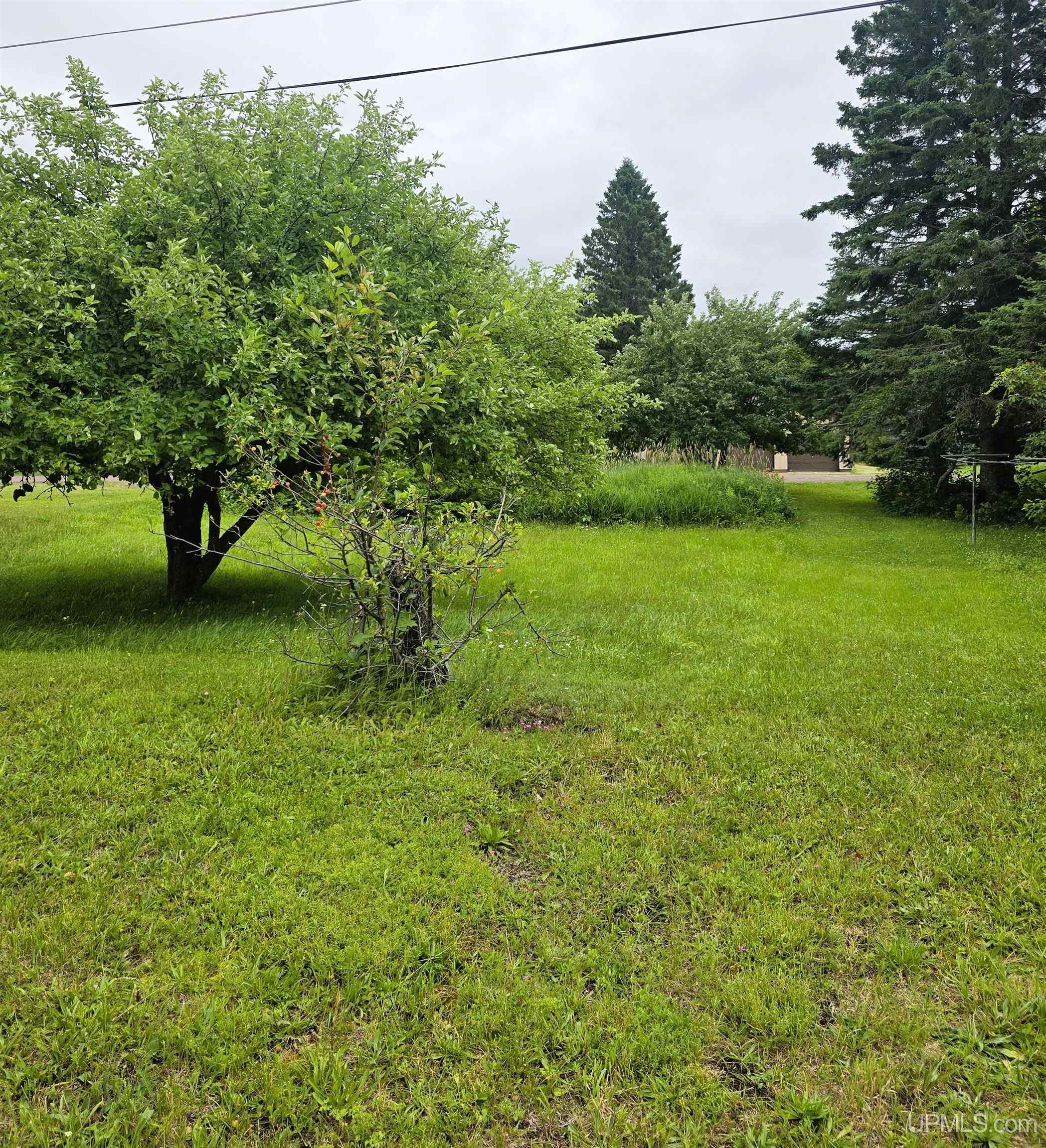 56702 Hecla Street Property Photo 3