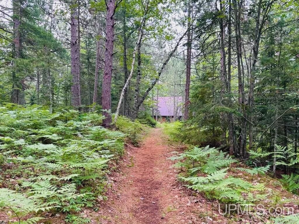 22704 E Dr Jack Trail Property Photo 8