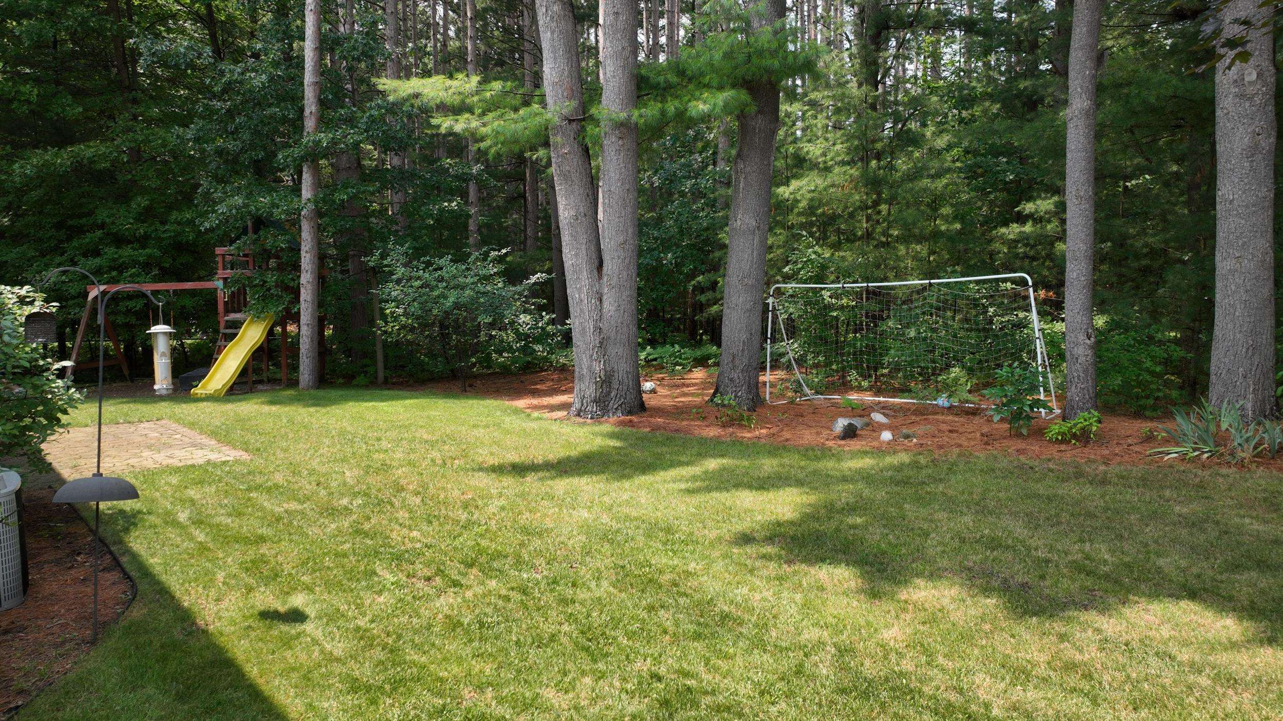 7725 Mammoth Pines Lane Property Photo 51