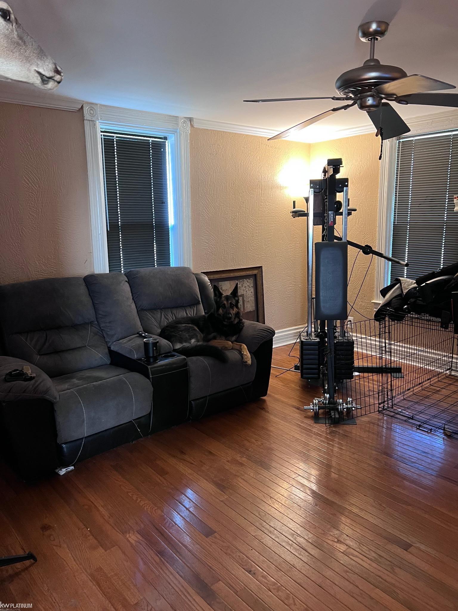 115 Robertson Street Property Photo 6
