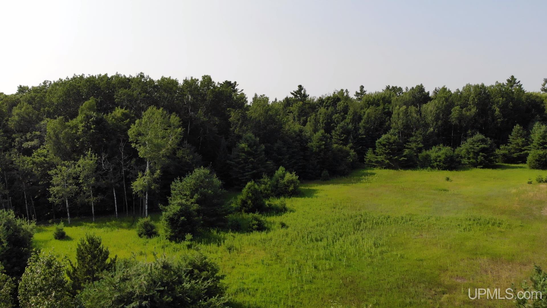 Tbd1 Lower Point Mills Road Property Photo 1